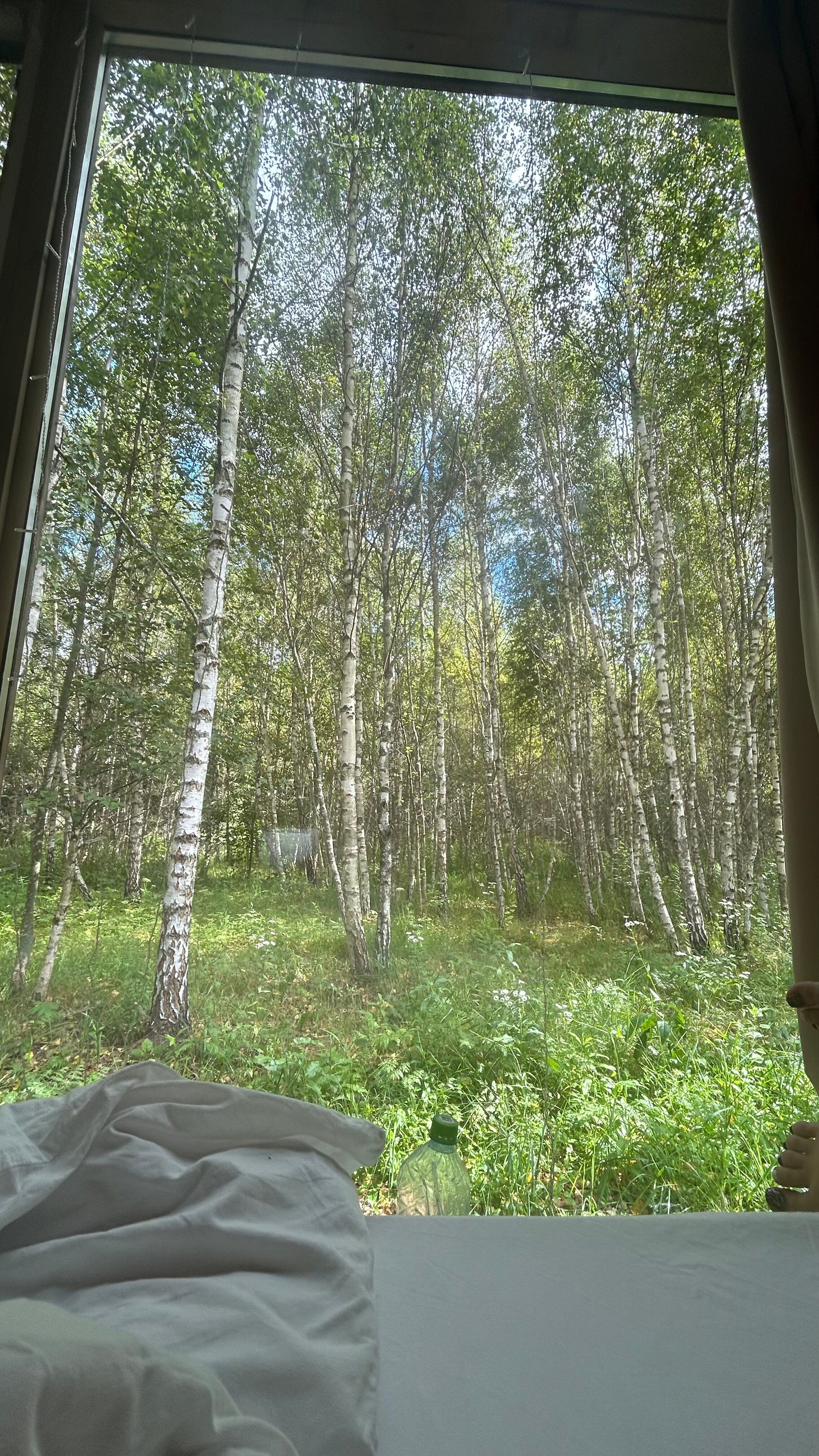 Фото Два зайца