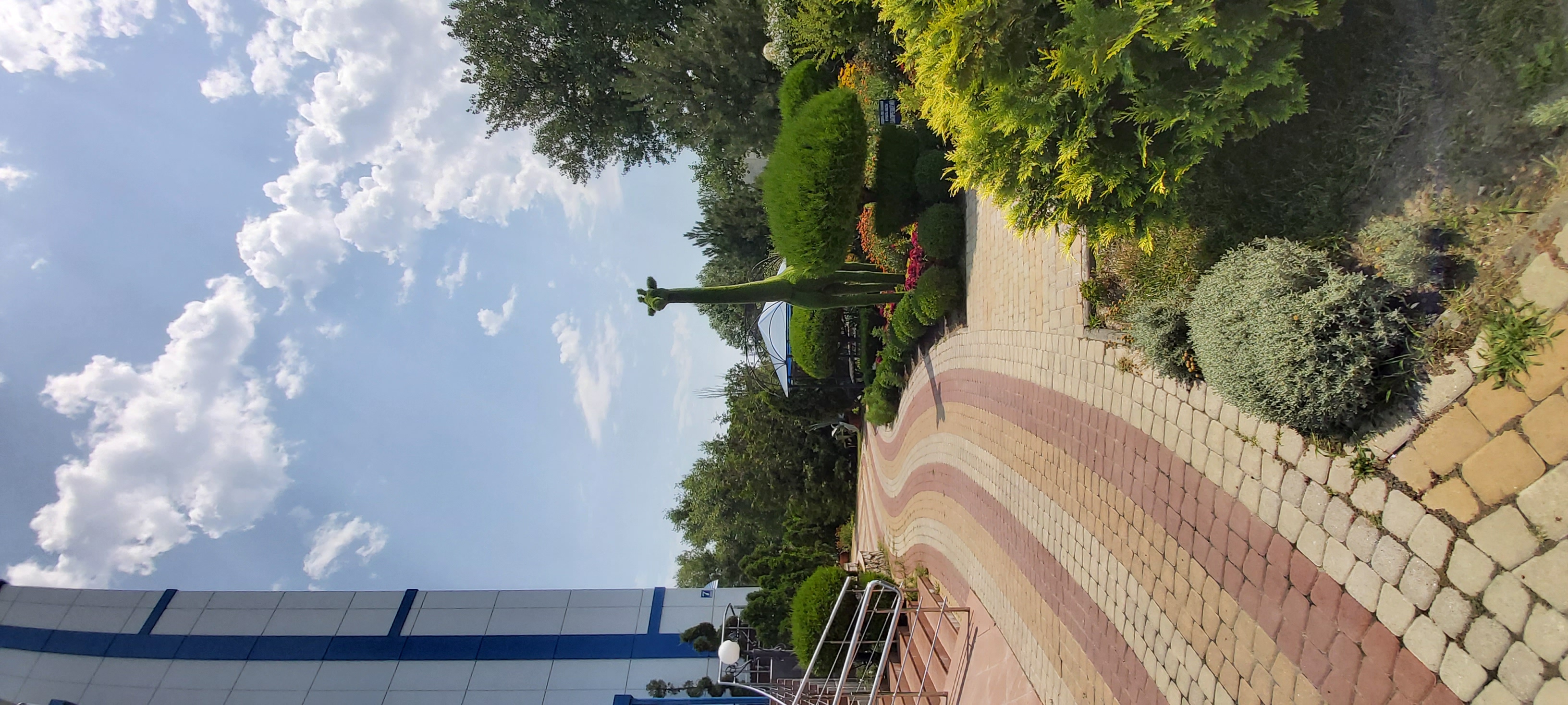 Фото Рябинушка