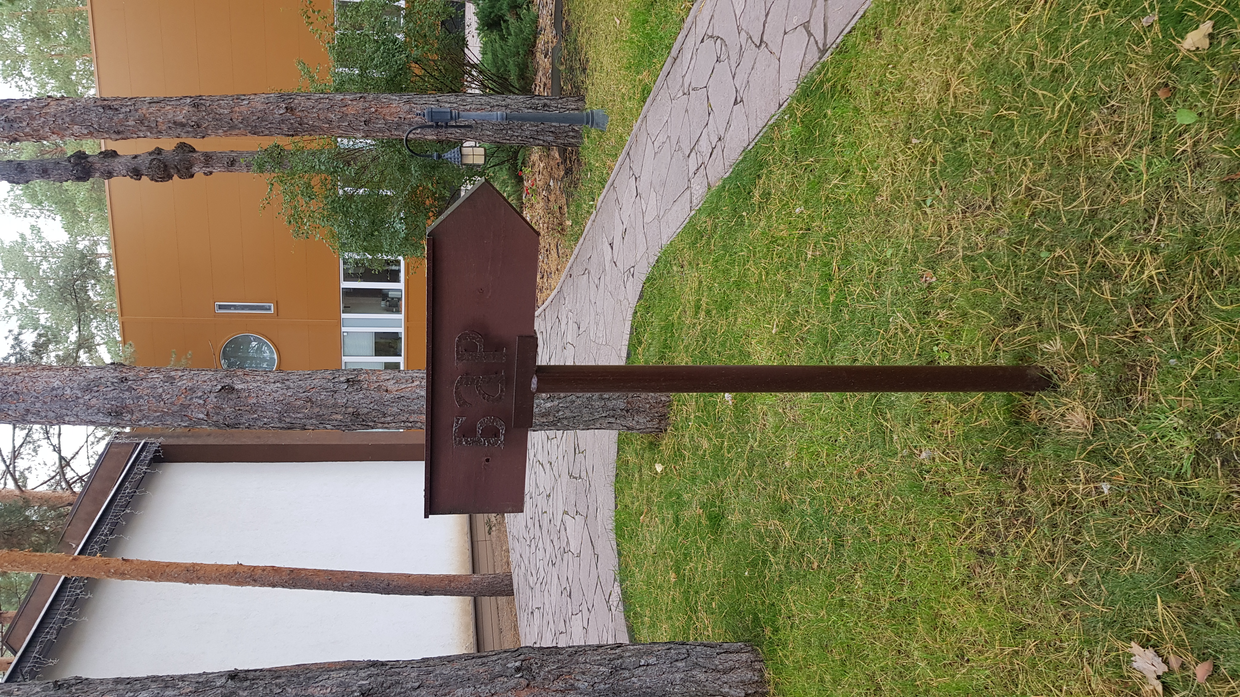 Фото ФорРест