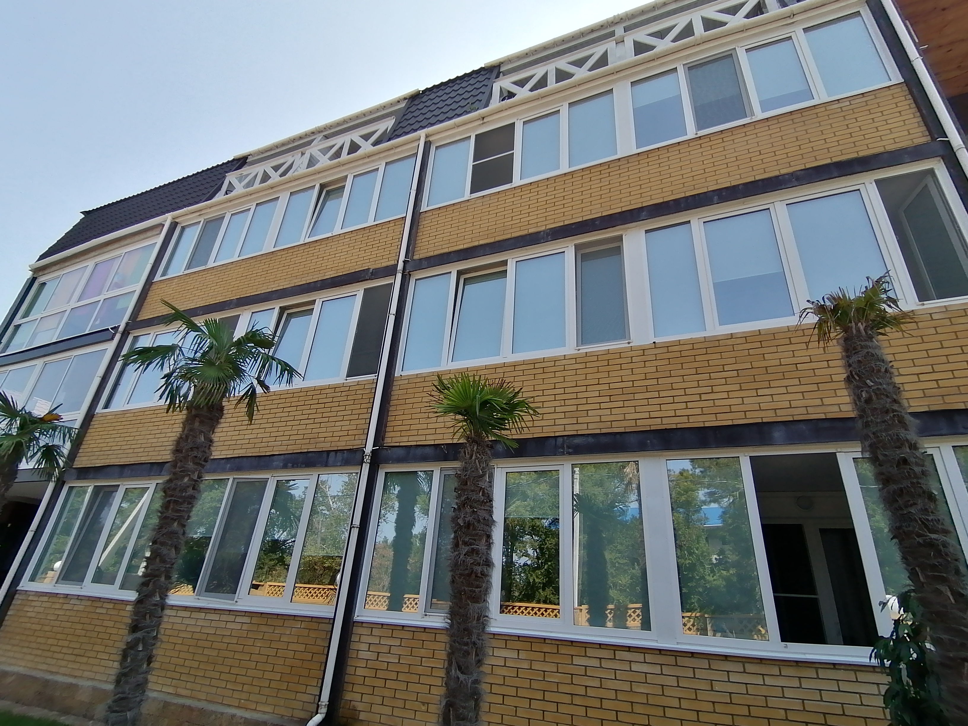 Фото Дублин Дельфин