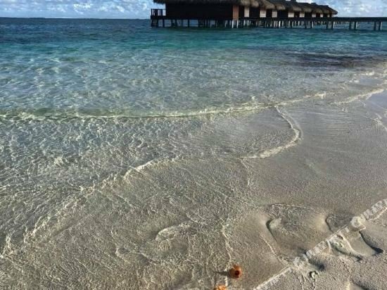 Гостиница Ocean Homestay в Халонге