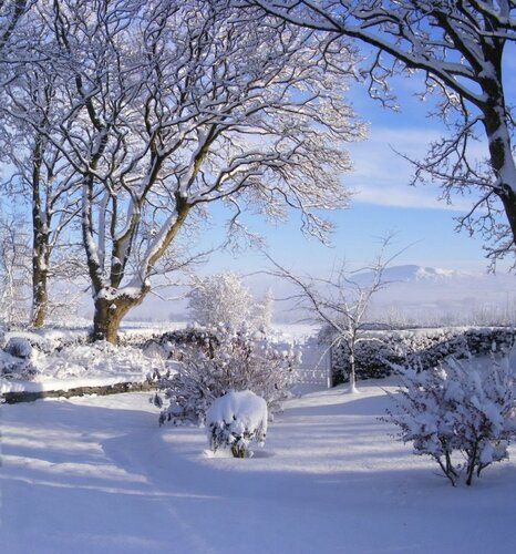 Гостиница Ballyhargan Farm House B&b