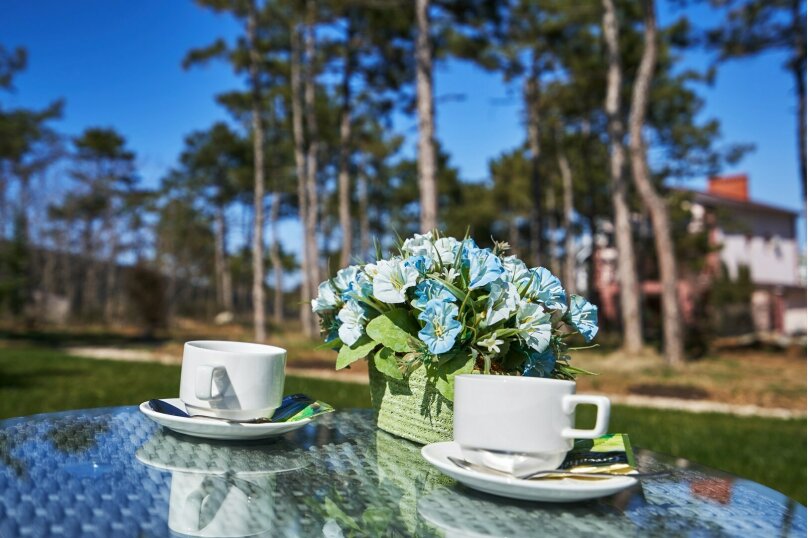 Фото Розмарин