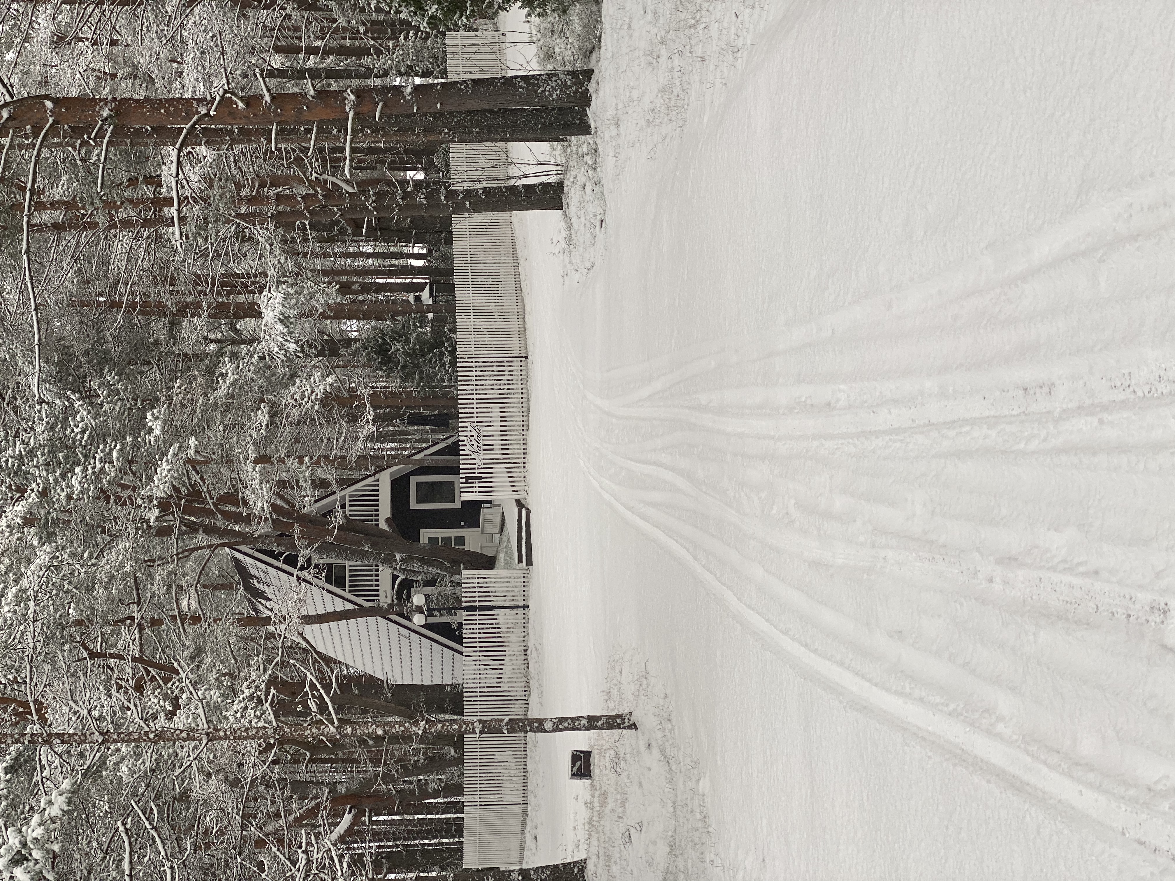 Фото Золотой берег