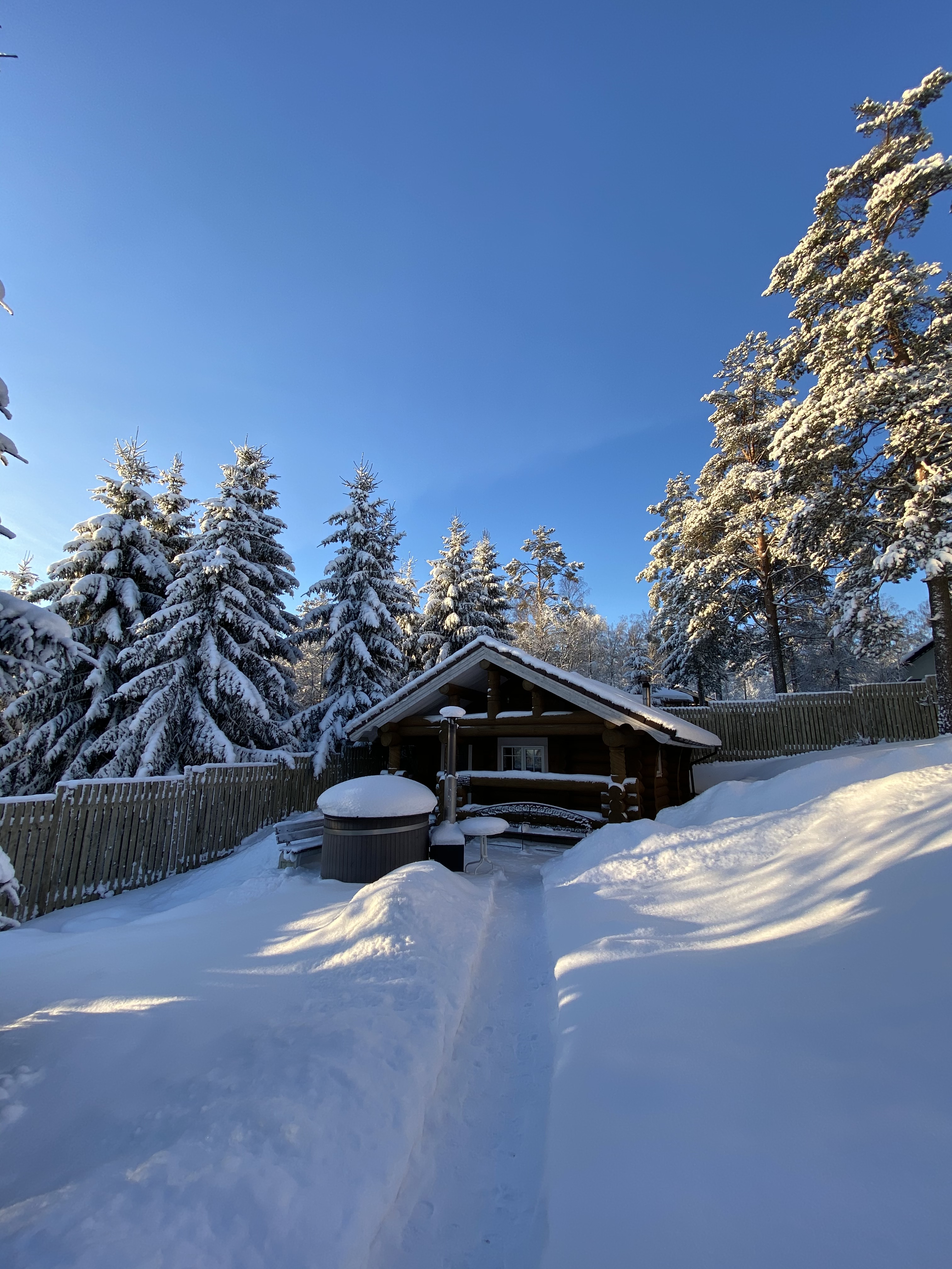 Фото Черника Хаус