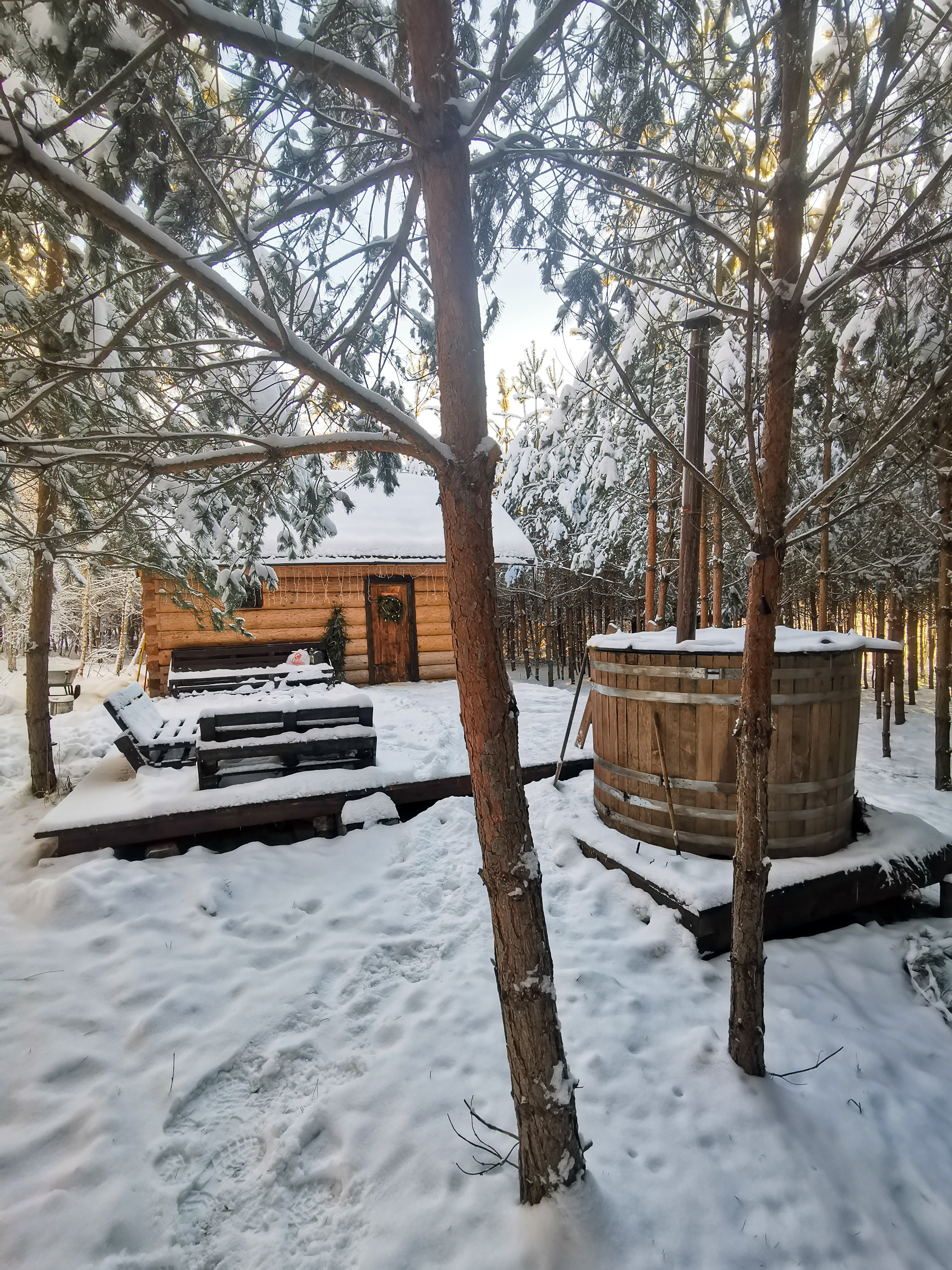 Фото О, Дни в Лесу