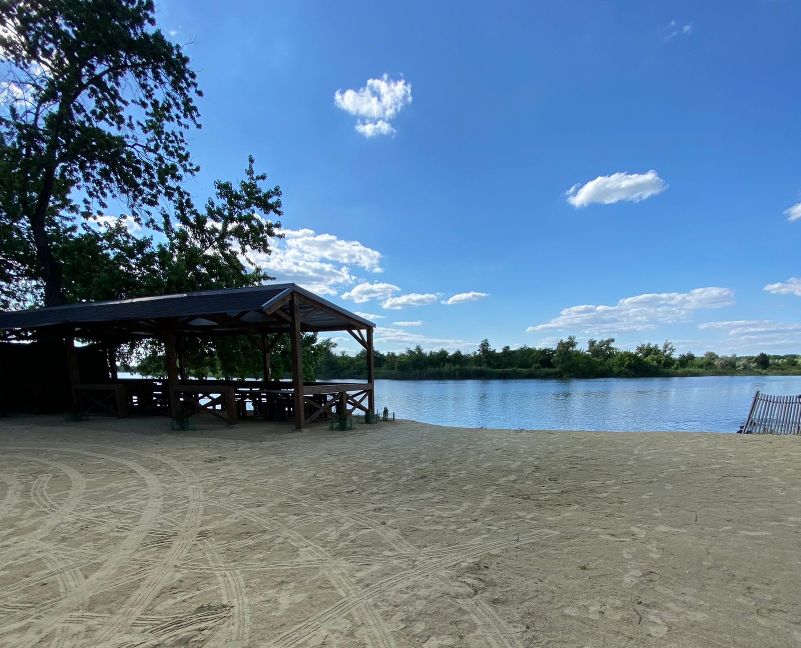 Фото Белуга