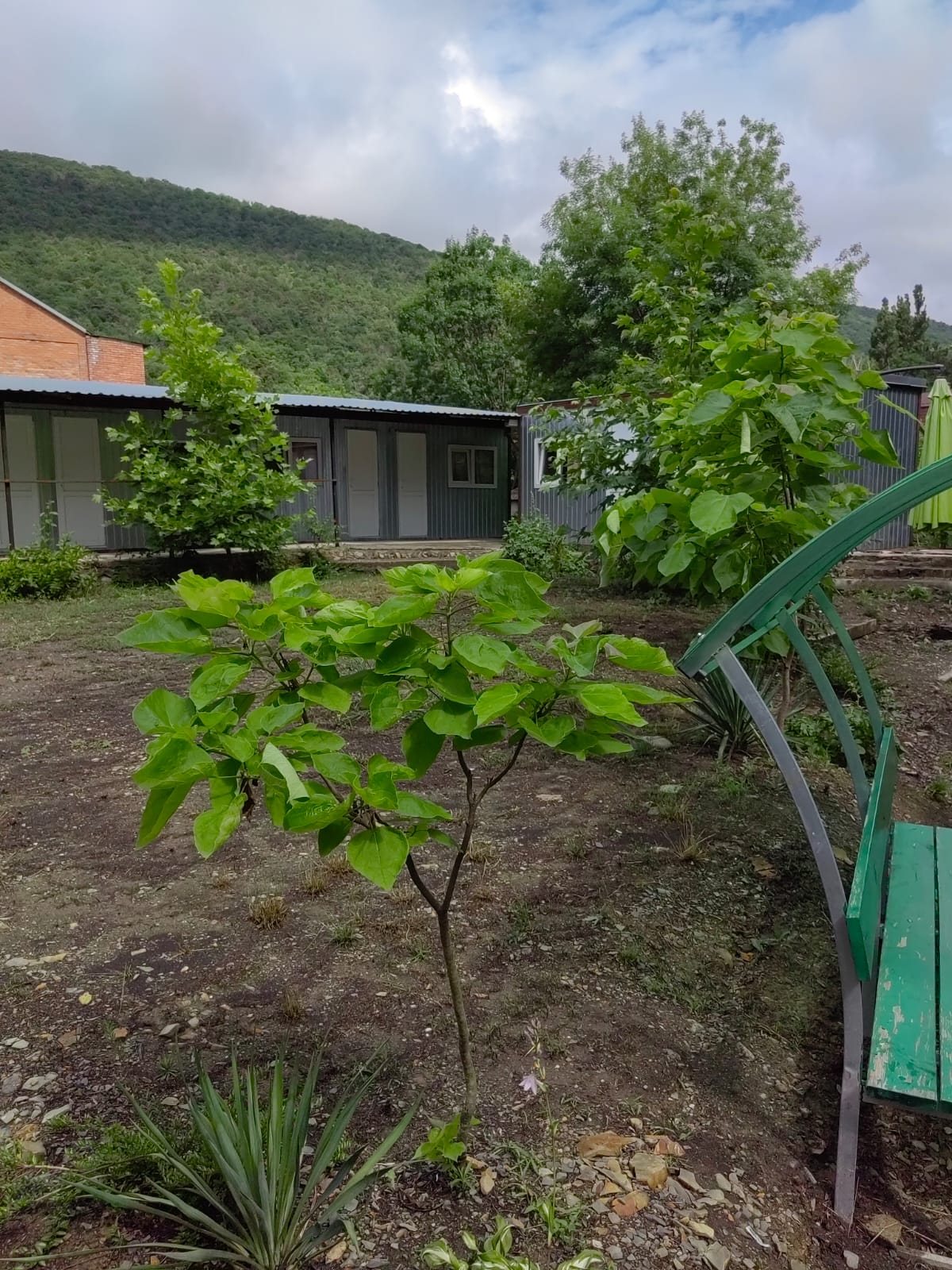 Фото Светлана