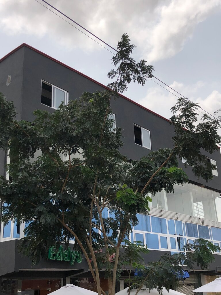 Business center House of Praize, Earth, photo