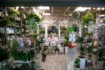 Proteya (Internatsionalnaya Street, 30), flower shop