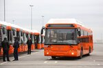 Нижегородский пассажирский автомобильный транспорт (Ильинская ул., 83А, Нижний Новгород), автобусные перевозки в Нижнем Новгороде