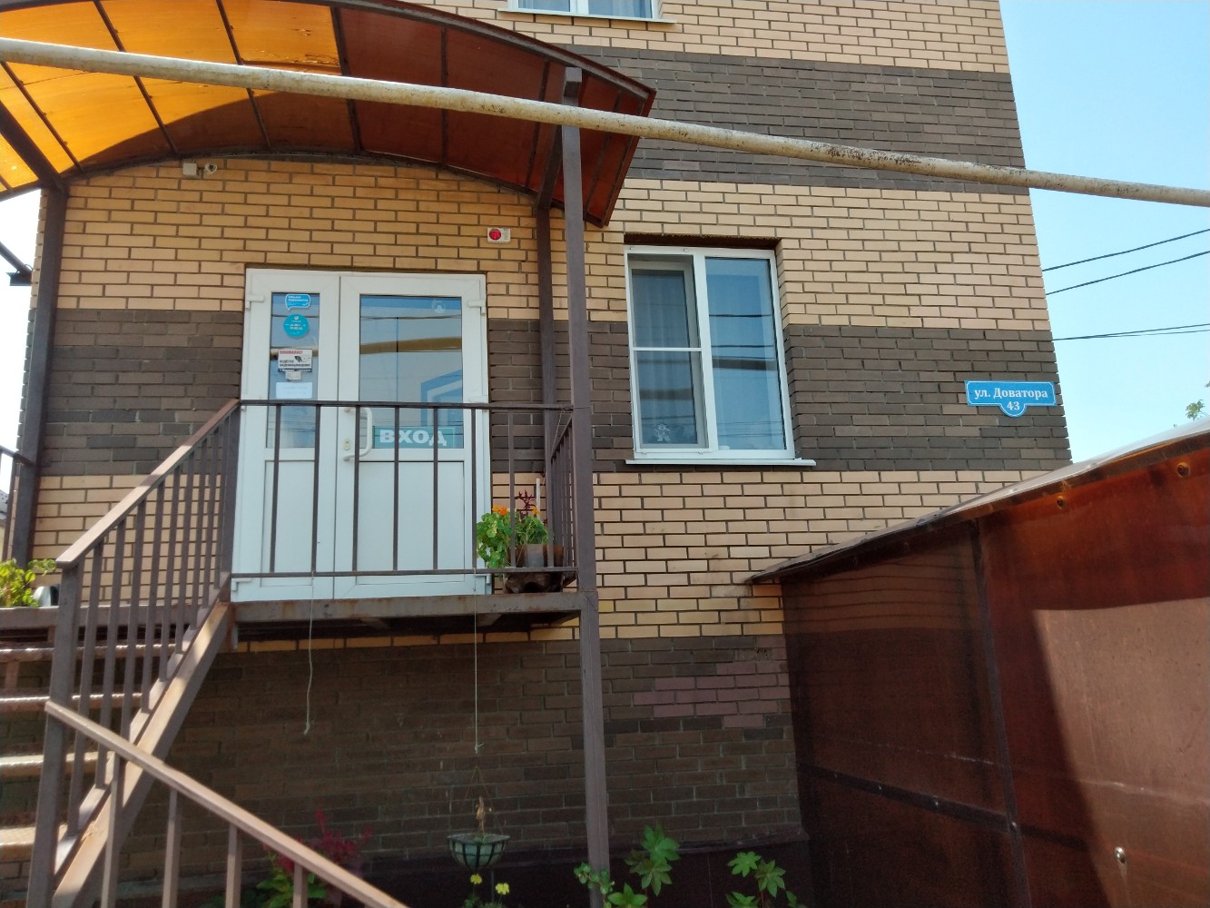 Фото Базилик