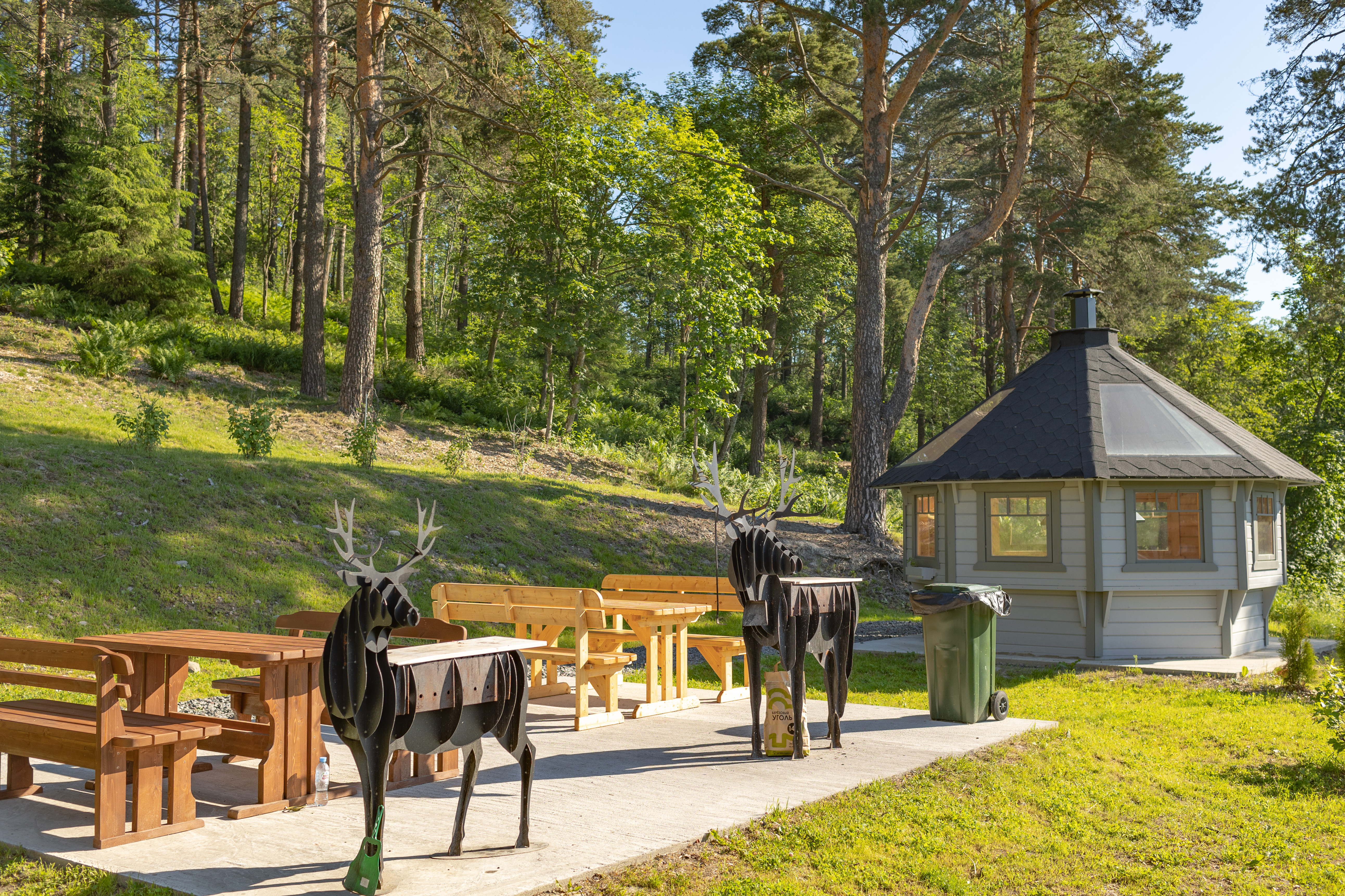 Фото Терве Ранта