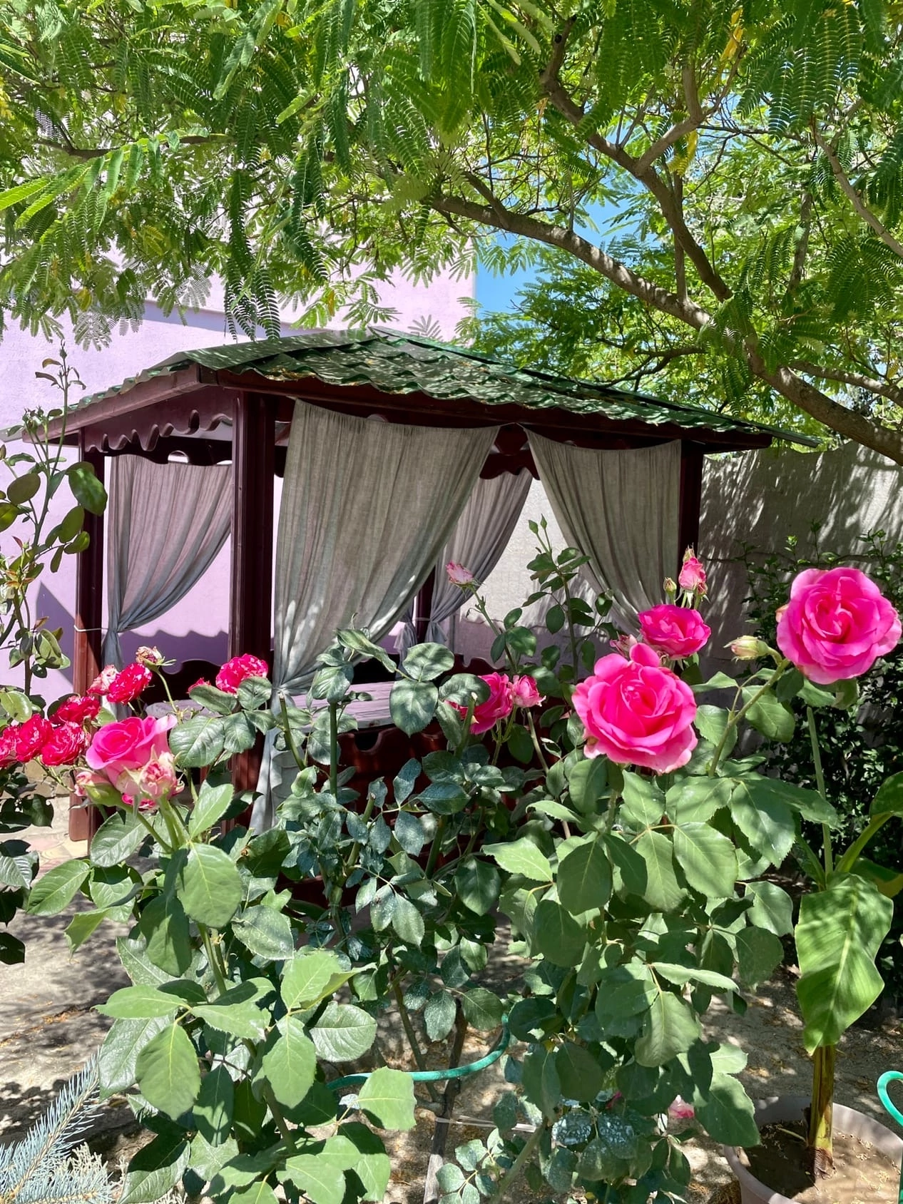 Фото Фортуна