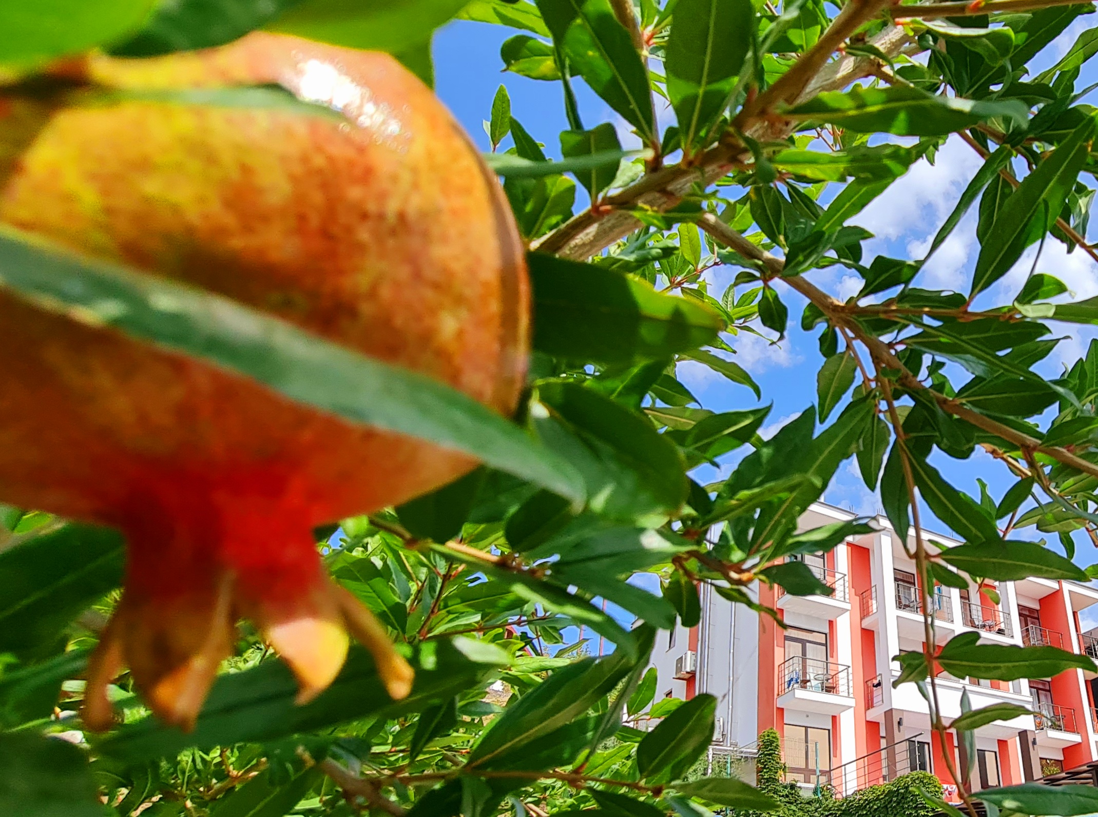 Фото Сезам клуб