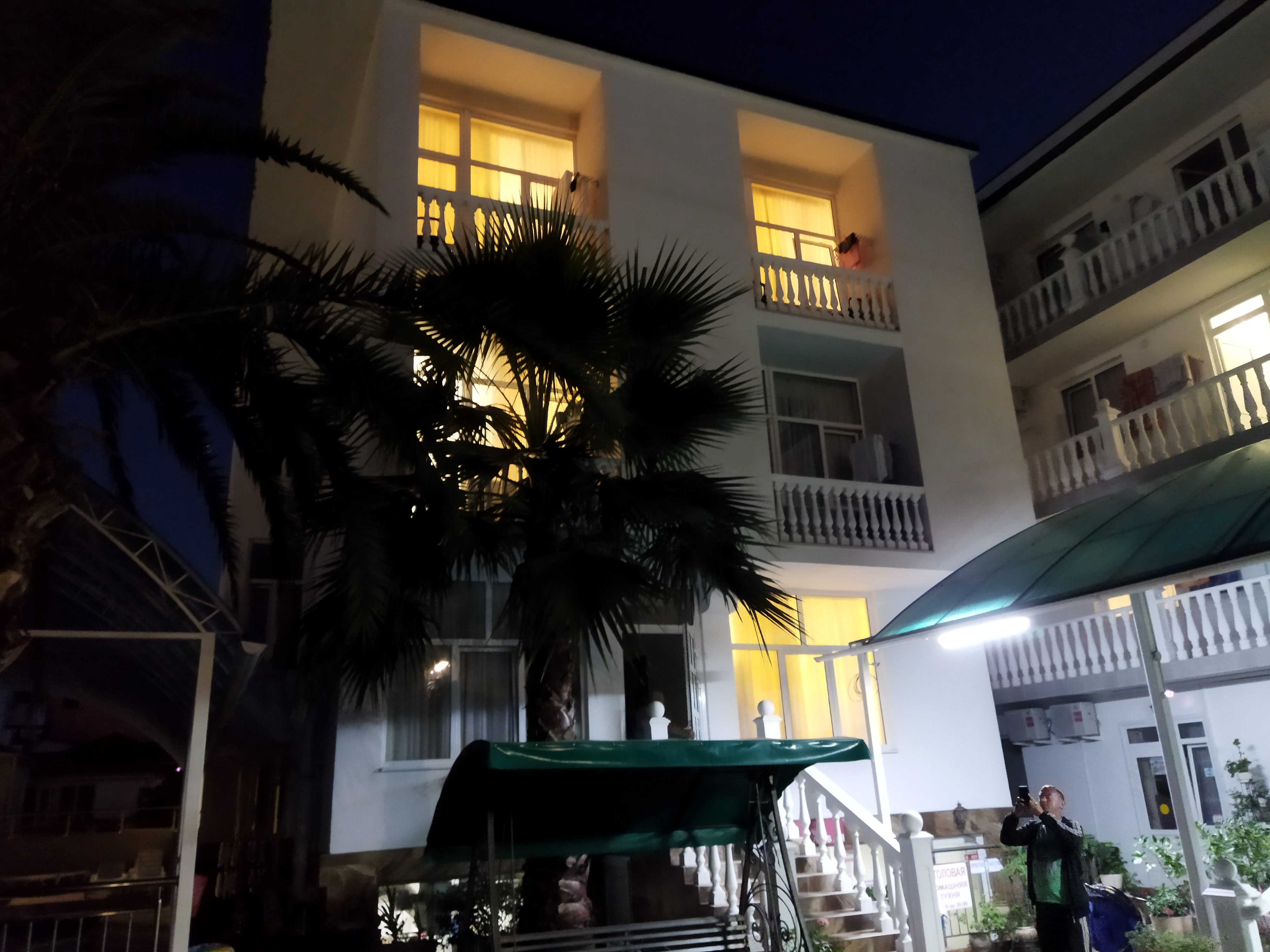 Фото Зелёный попугай