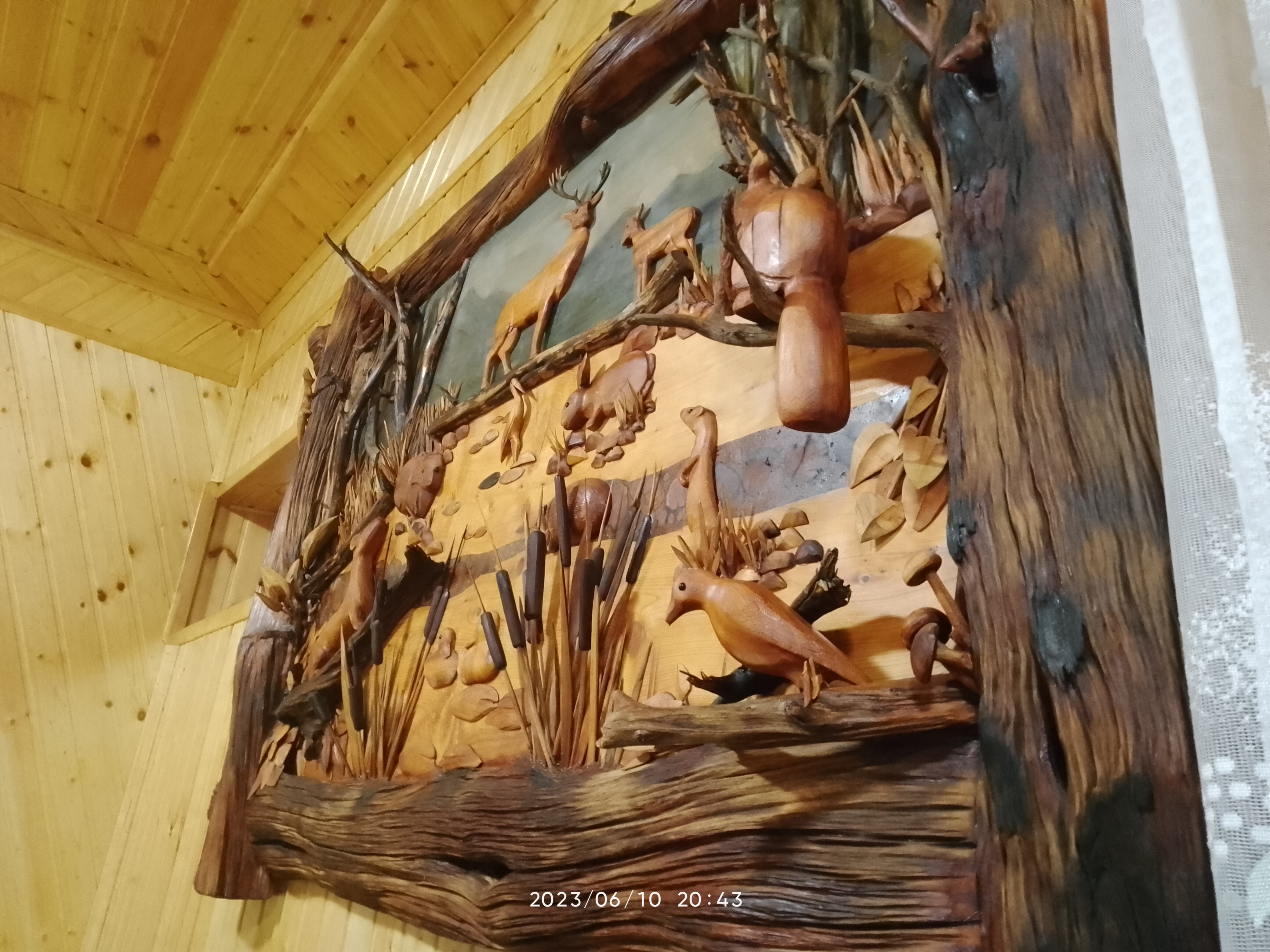 Фото Лесная сказка