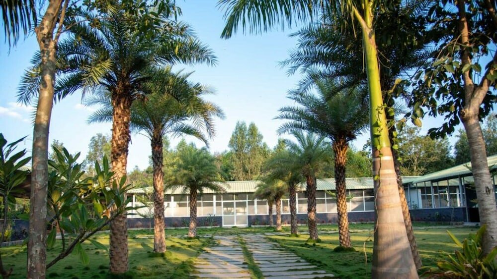 Фото Lago Palm Resort