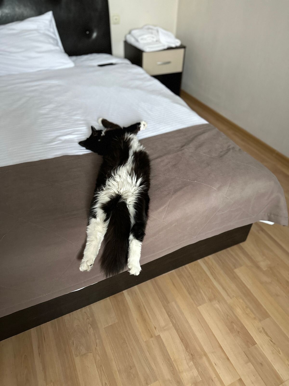 Фото Сны города