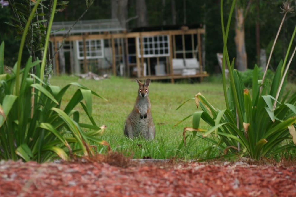 Фото Arcadia Retreat