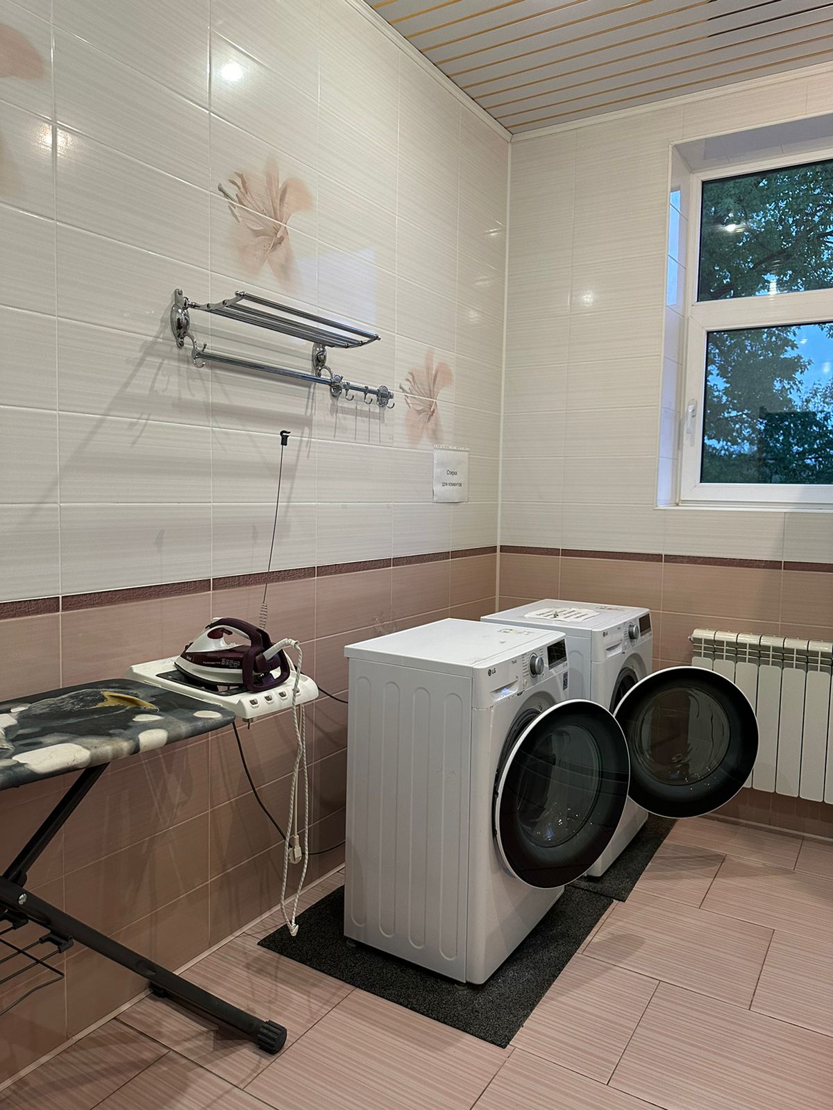 Фото Фламинго