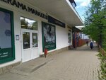 Dubkov Studio (Karla Libknekhta Street, 29с13), it company