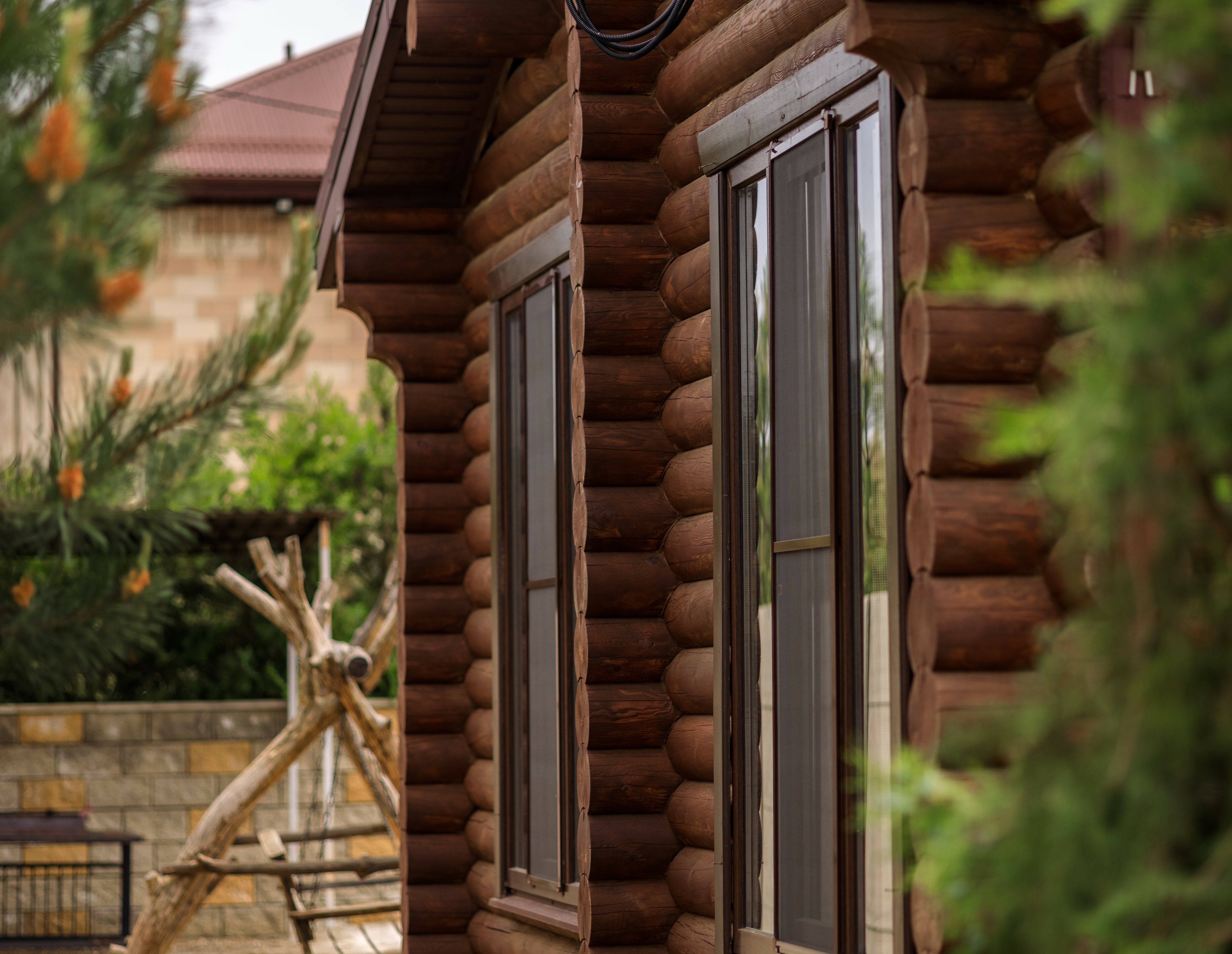 Фото Кедровый бор