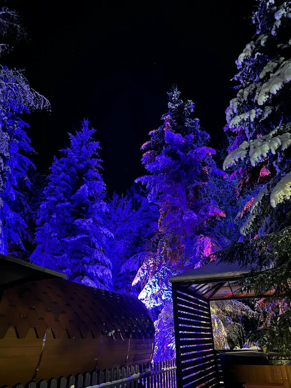 Фото Ёlki Черемыкино