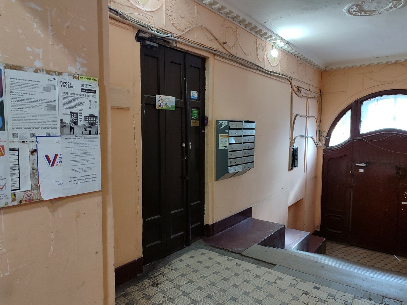 Фото Старый кот