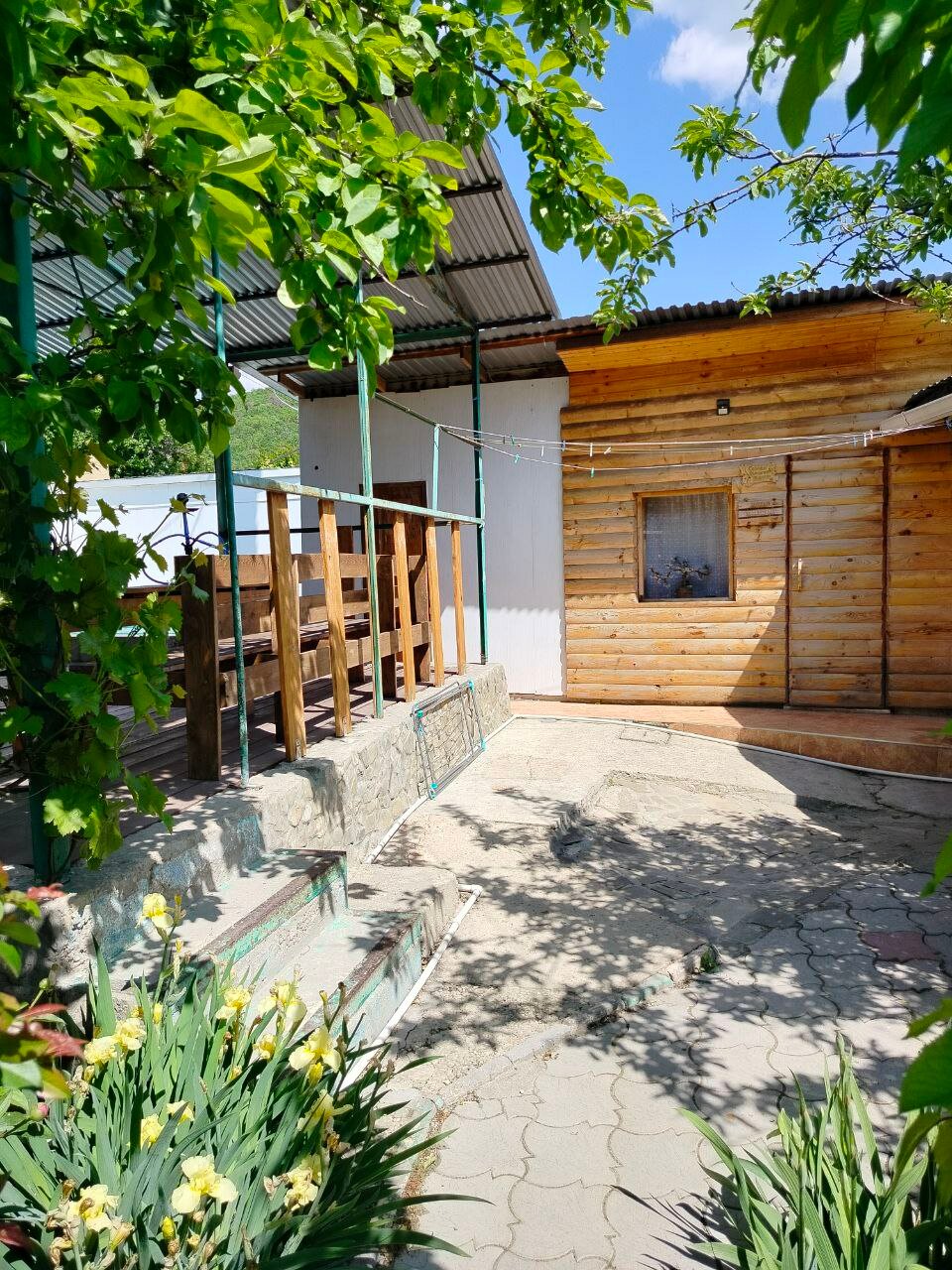 Фото Берёзка