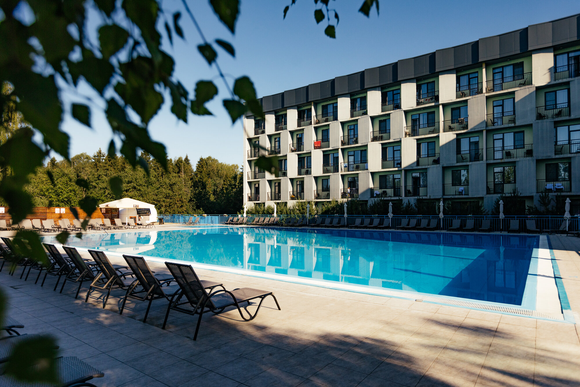 Фото Свежий ветер