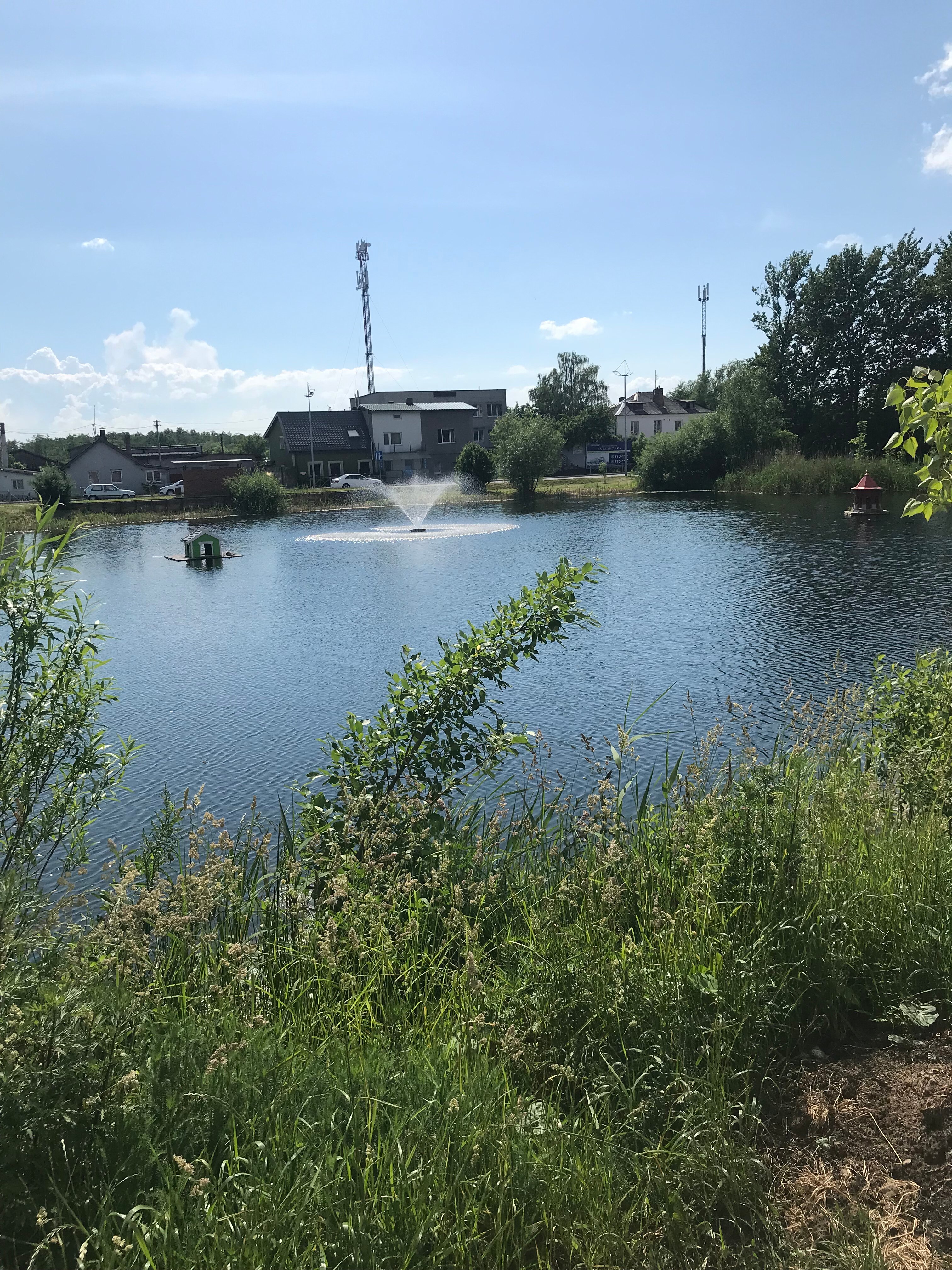 Фото Четыре сезона