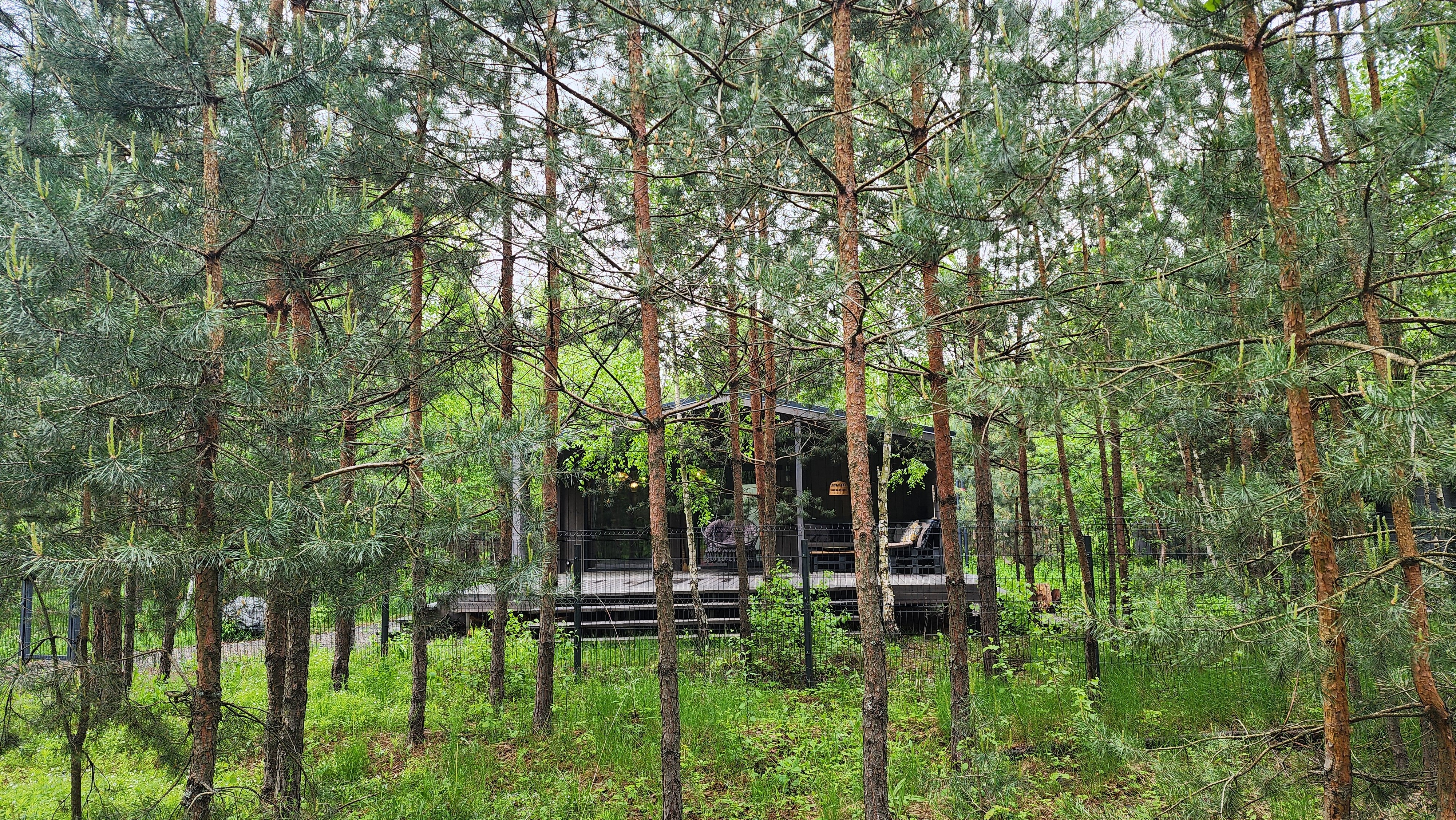 Фото Дом в заповеднике