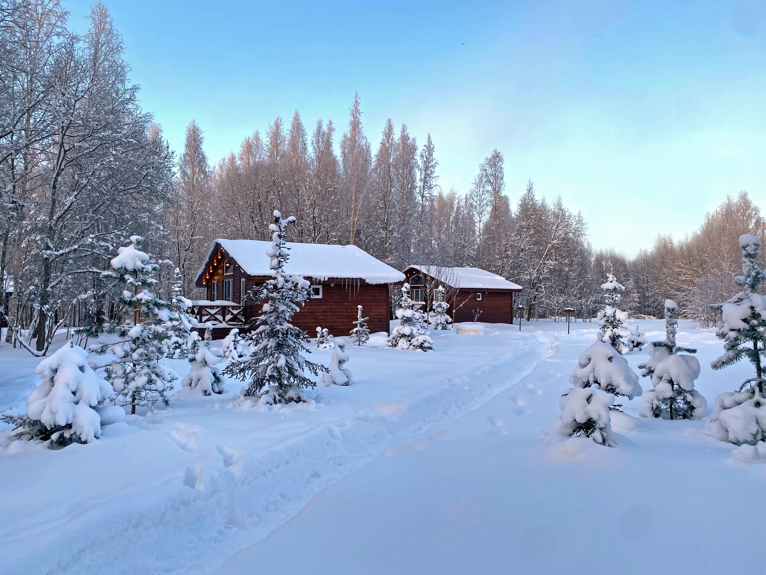 Фото Ладога Хоум