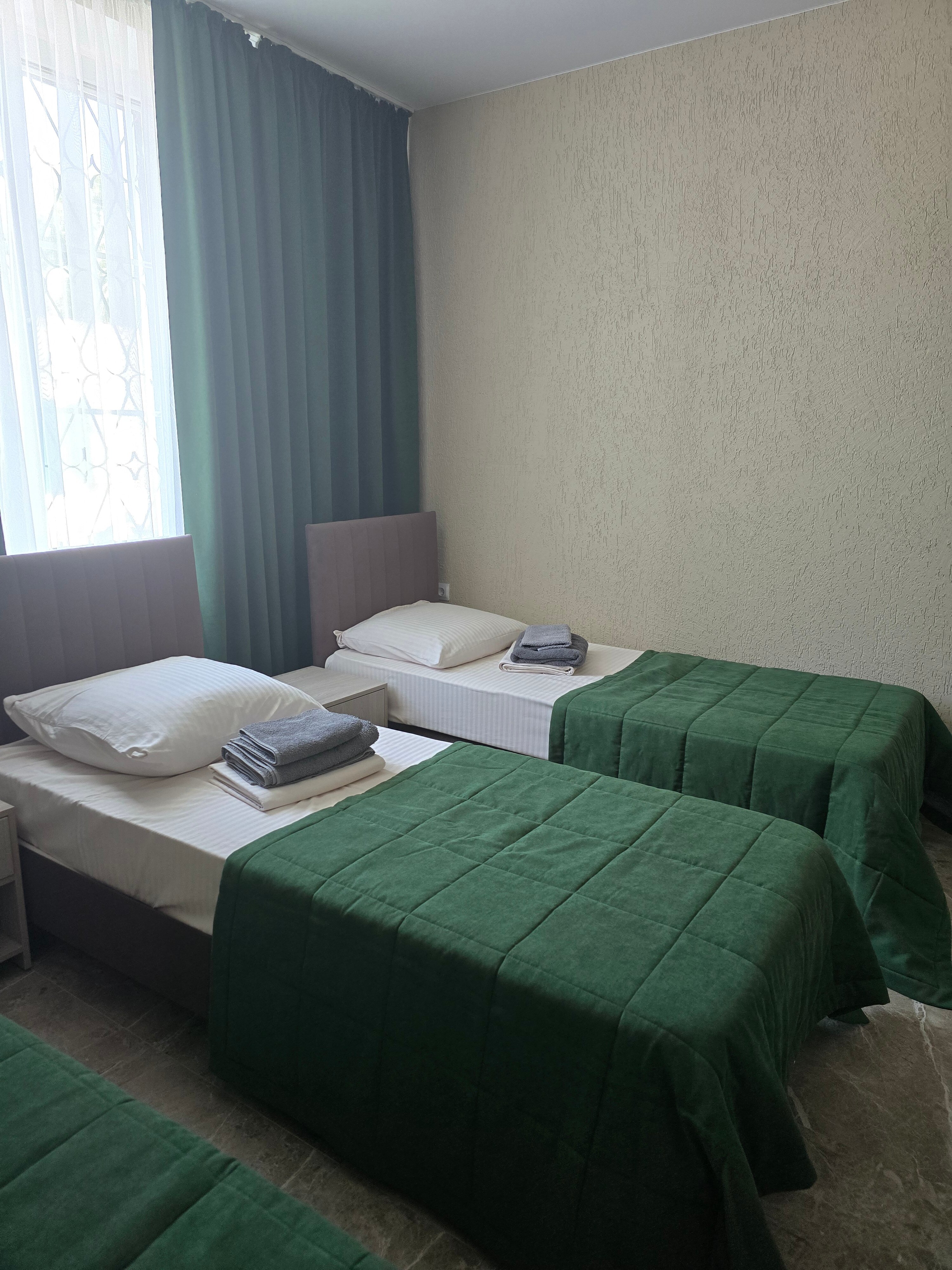 Фото Медуза