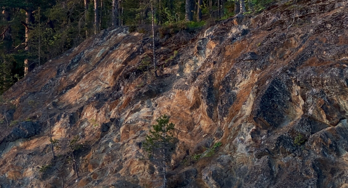 Фото Forest Park