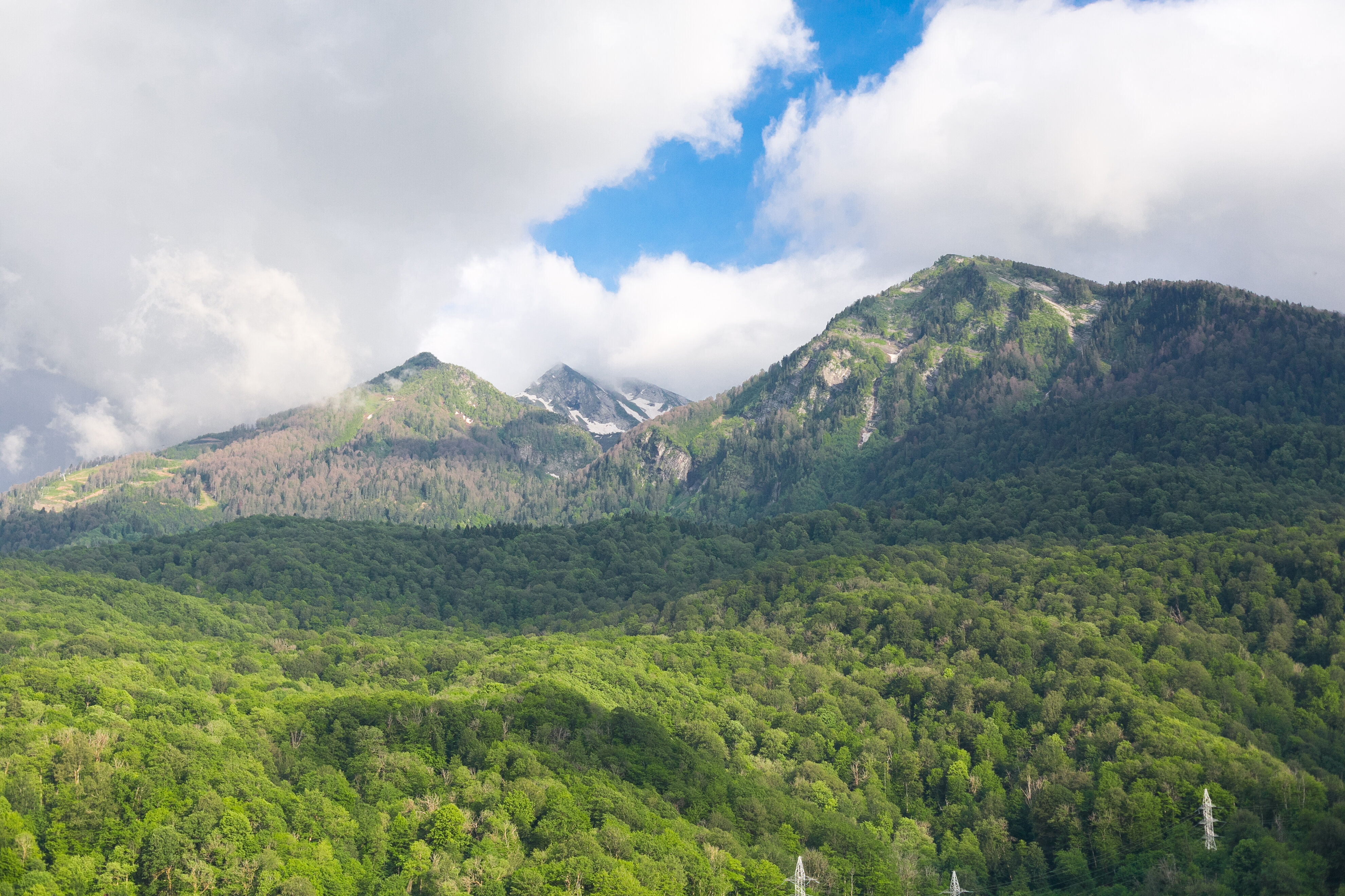 Фото Апарт 64