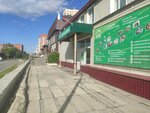 Курганский дом молодежи (Sibirskaya Street, 8) ، منظمات المجتمع