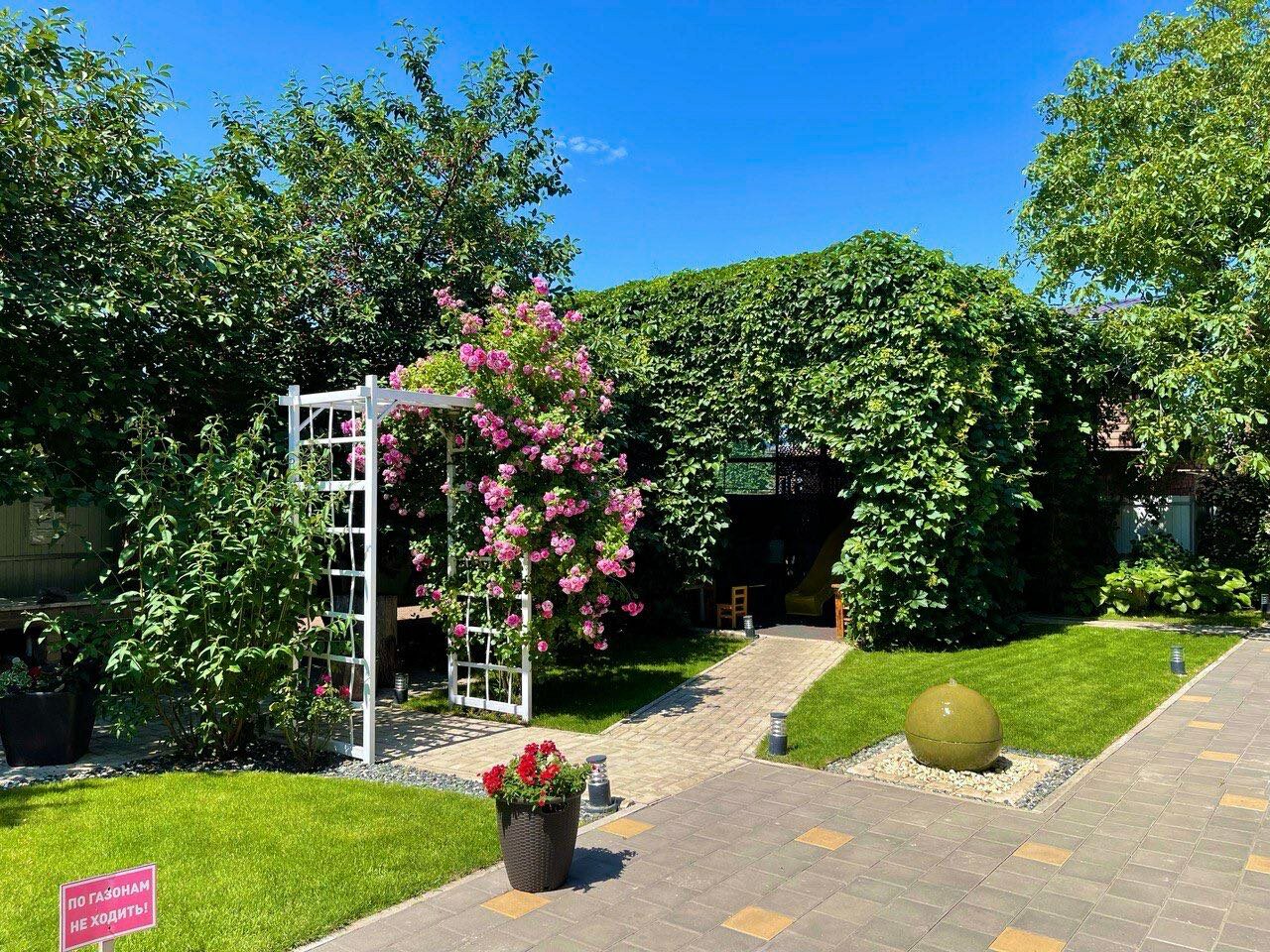 Фото Совёнок