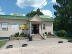 Avokado (Ryazan Region, Skopin Urban District, Gumenki Village), grocery