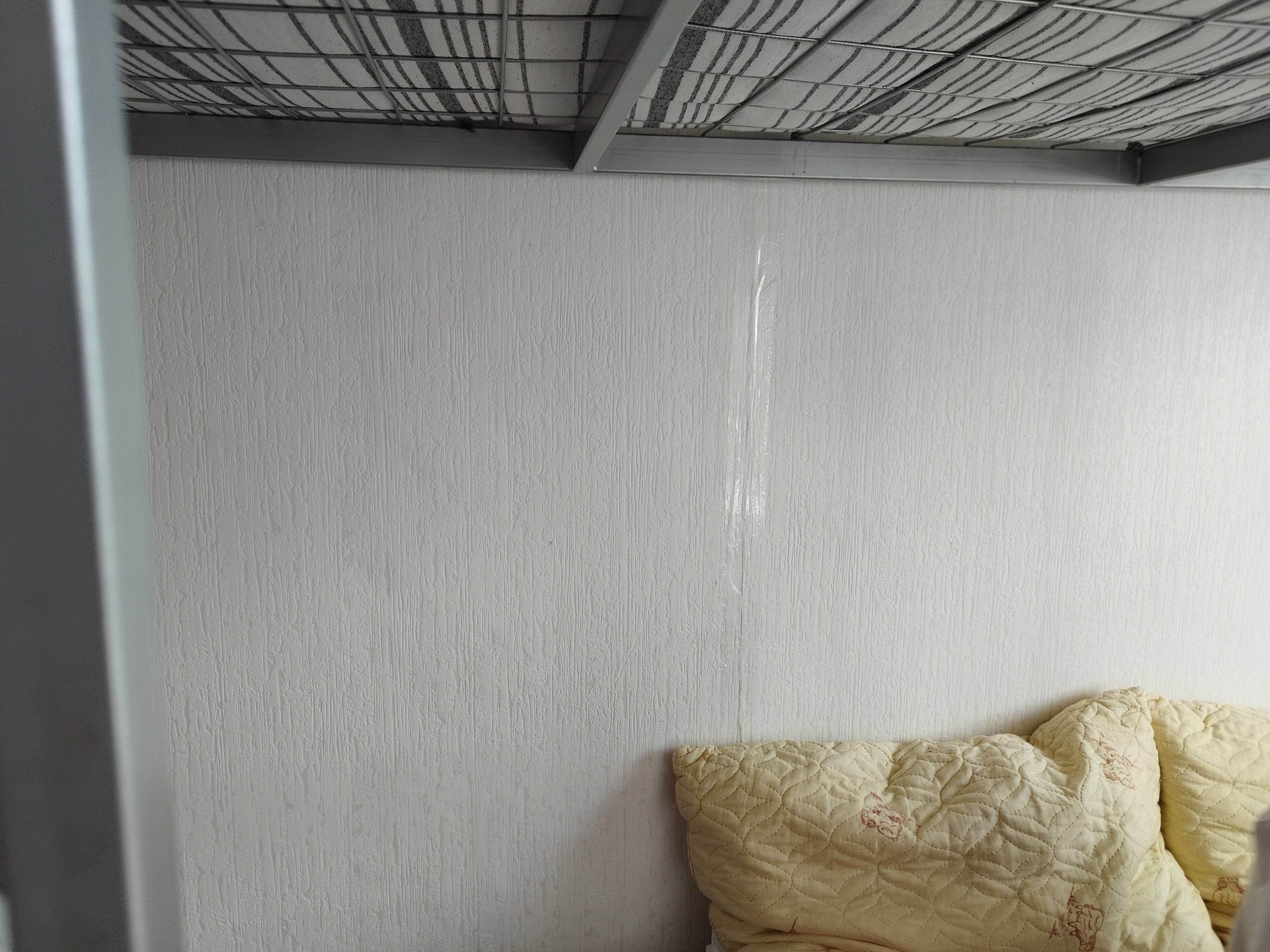 Фото Сириус