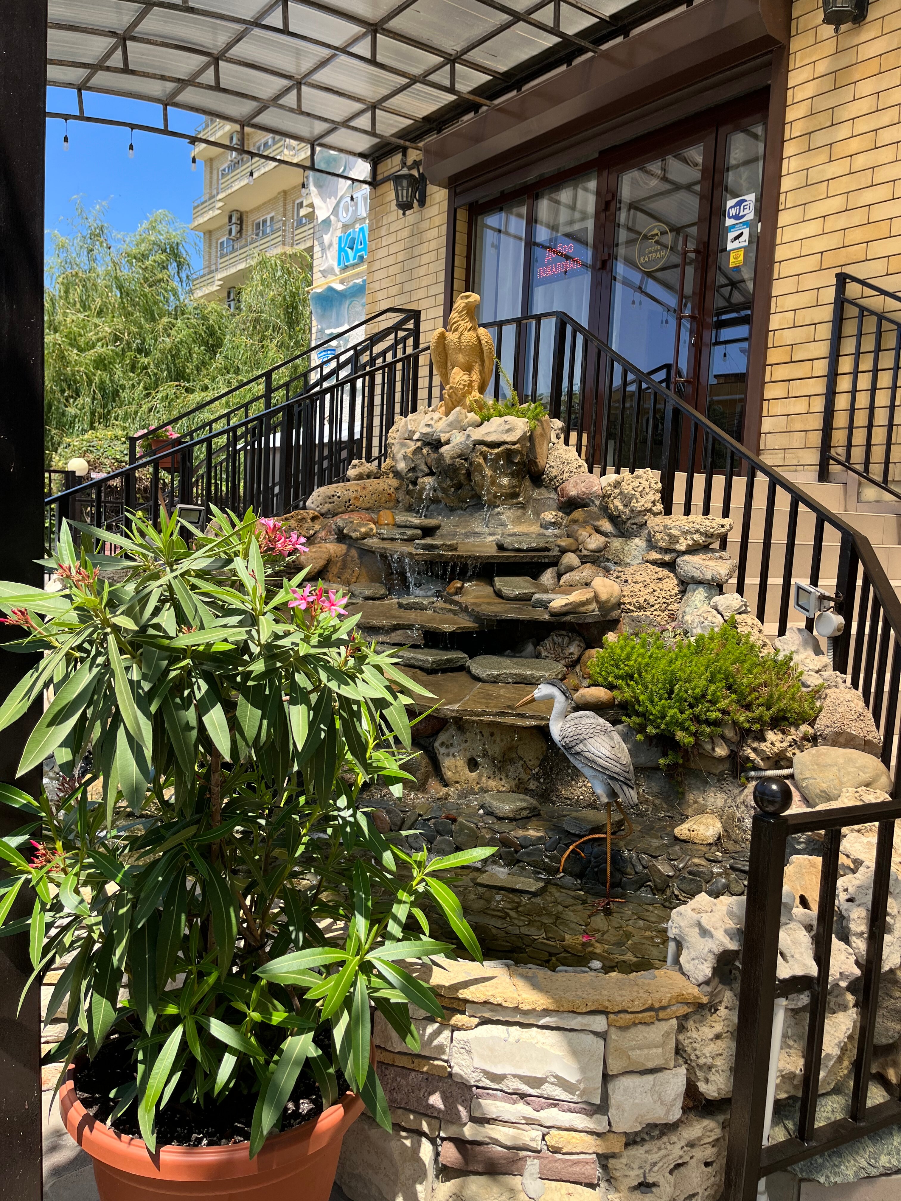 Фото Катран