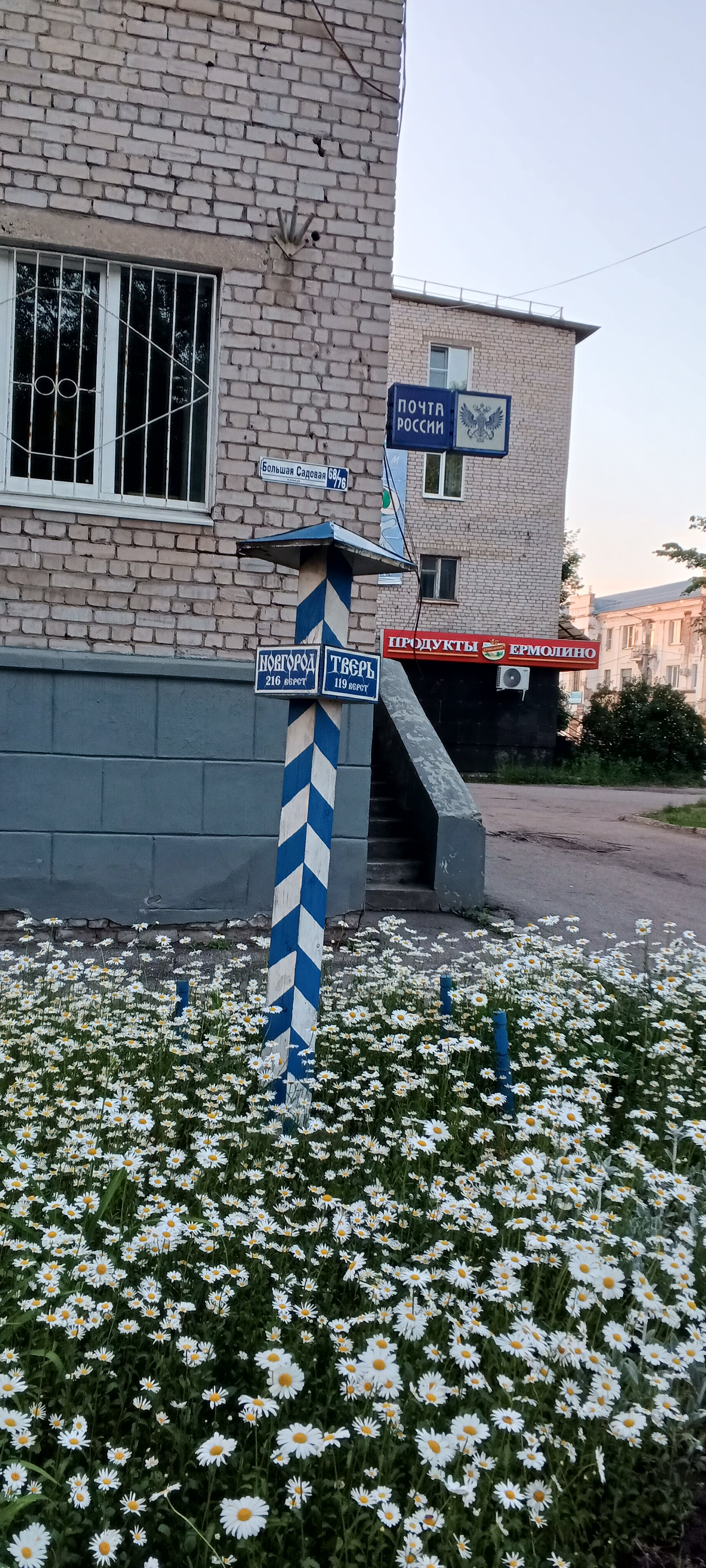 Фото Берёзка