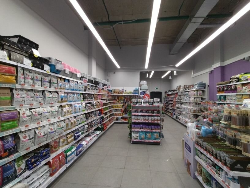 Pet shop Zoozavr, Mytischi, photo