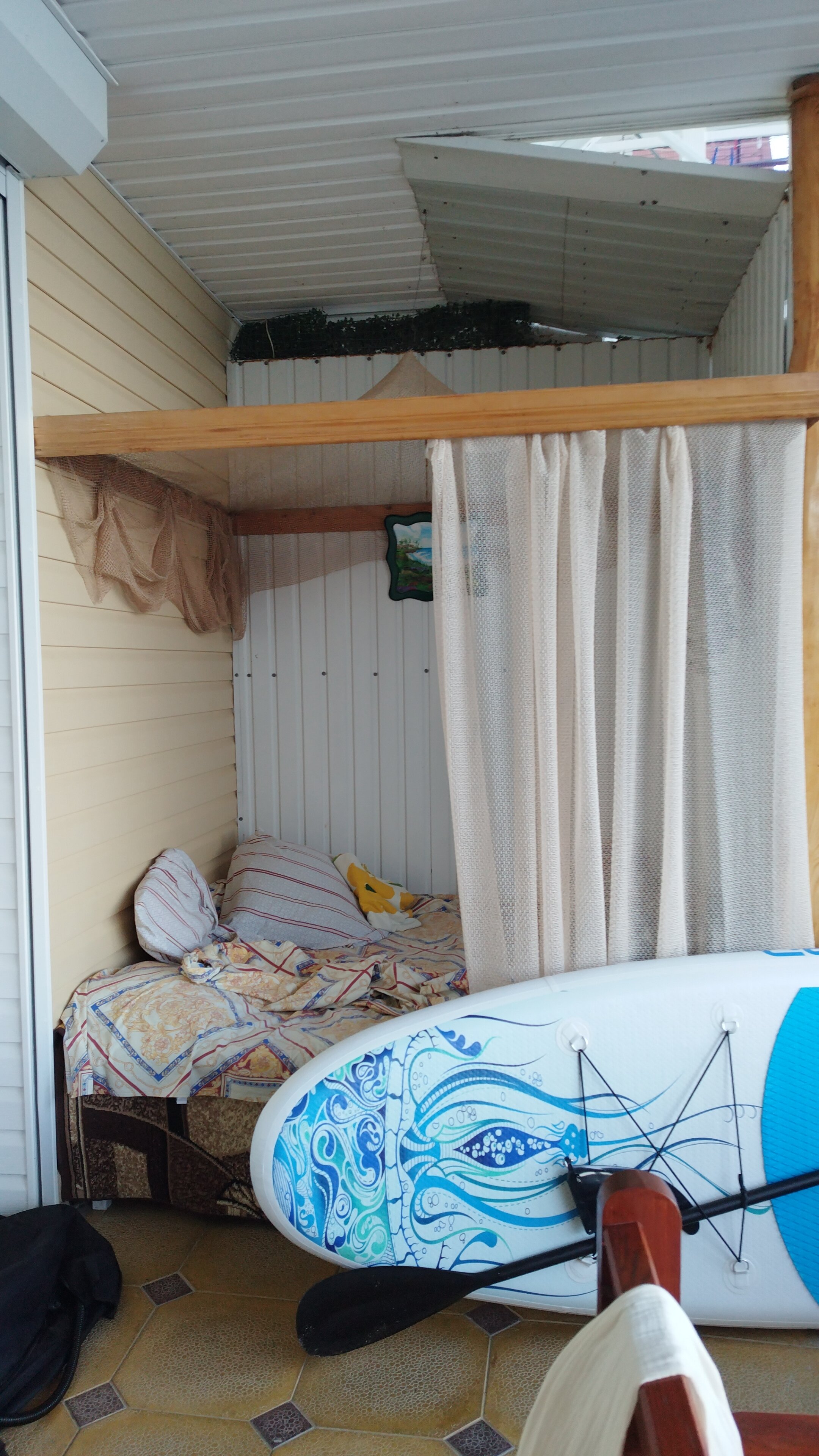 Фото Эллинг у Зои