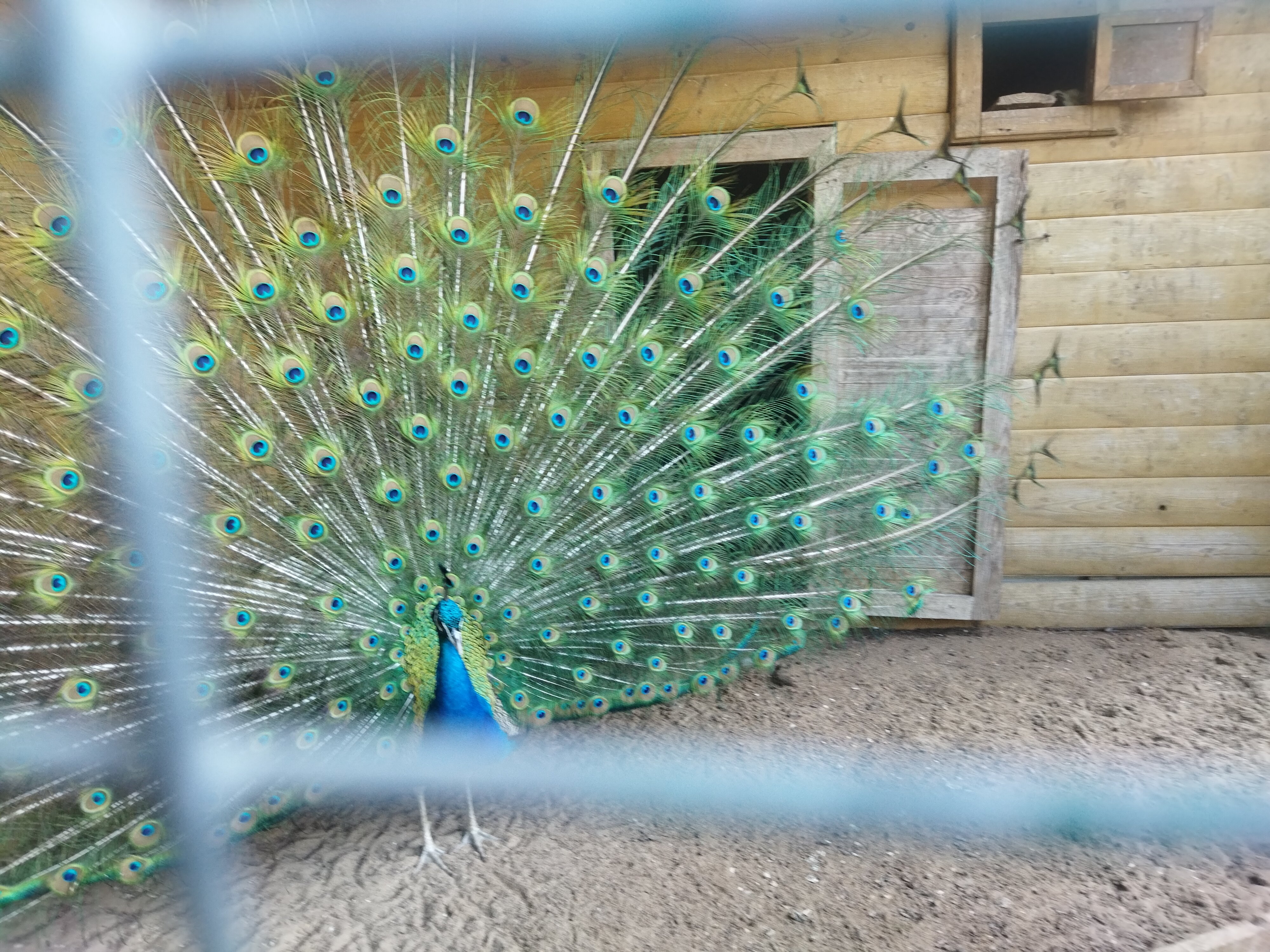 Фото Южная ночь