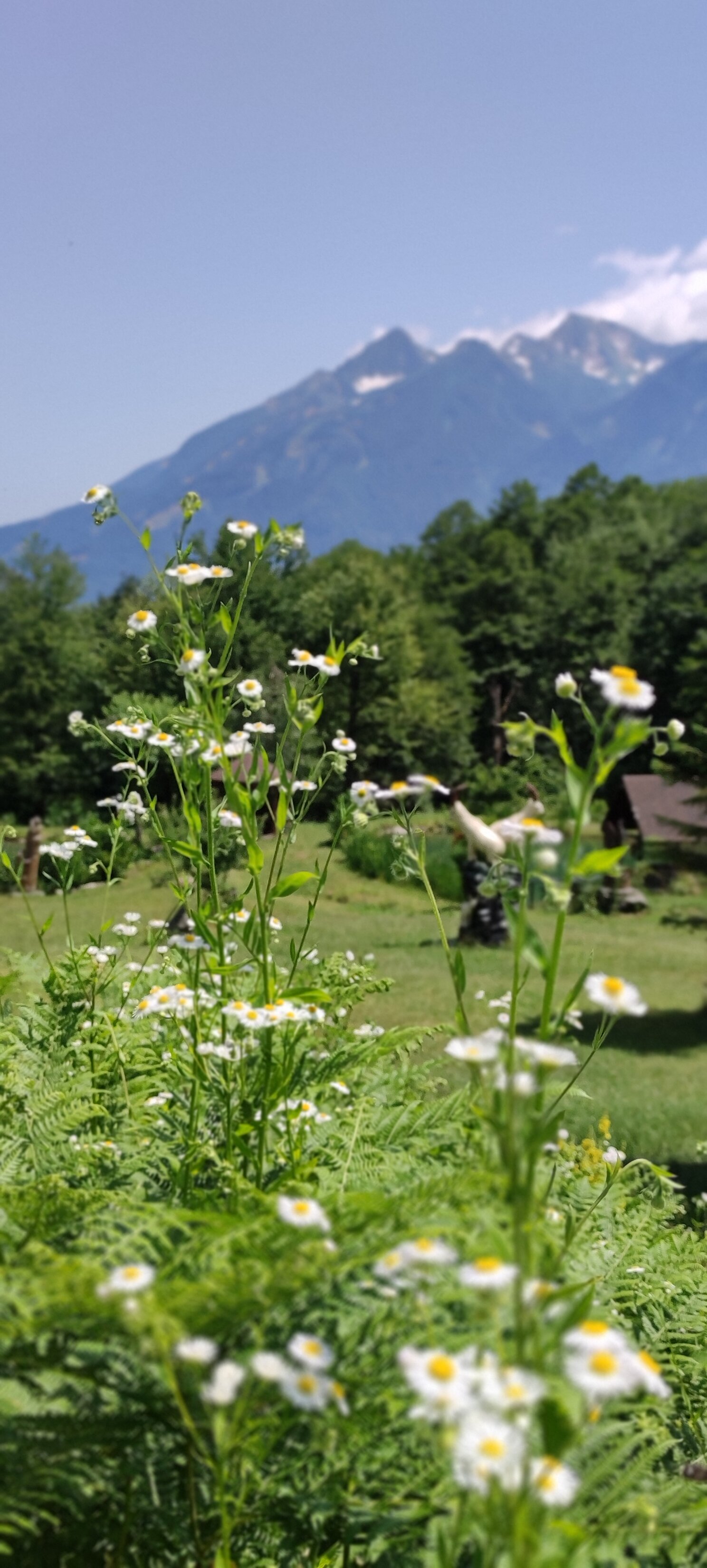 Фото Рыбино