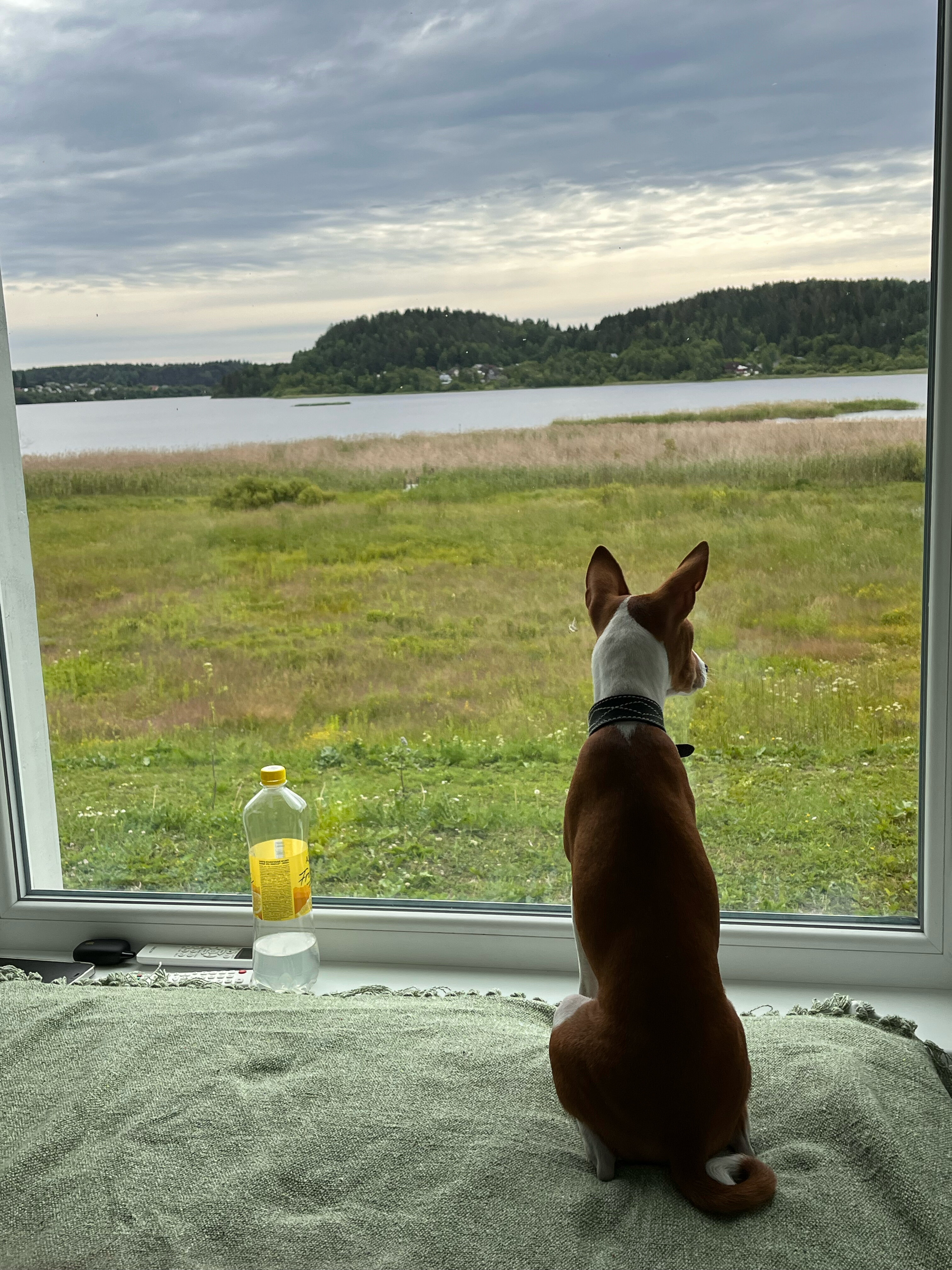 Фото Karelia shum off