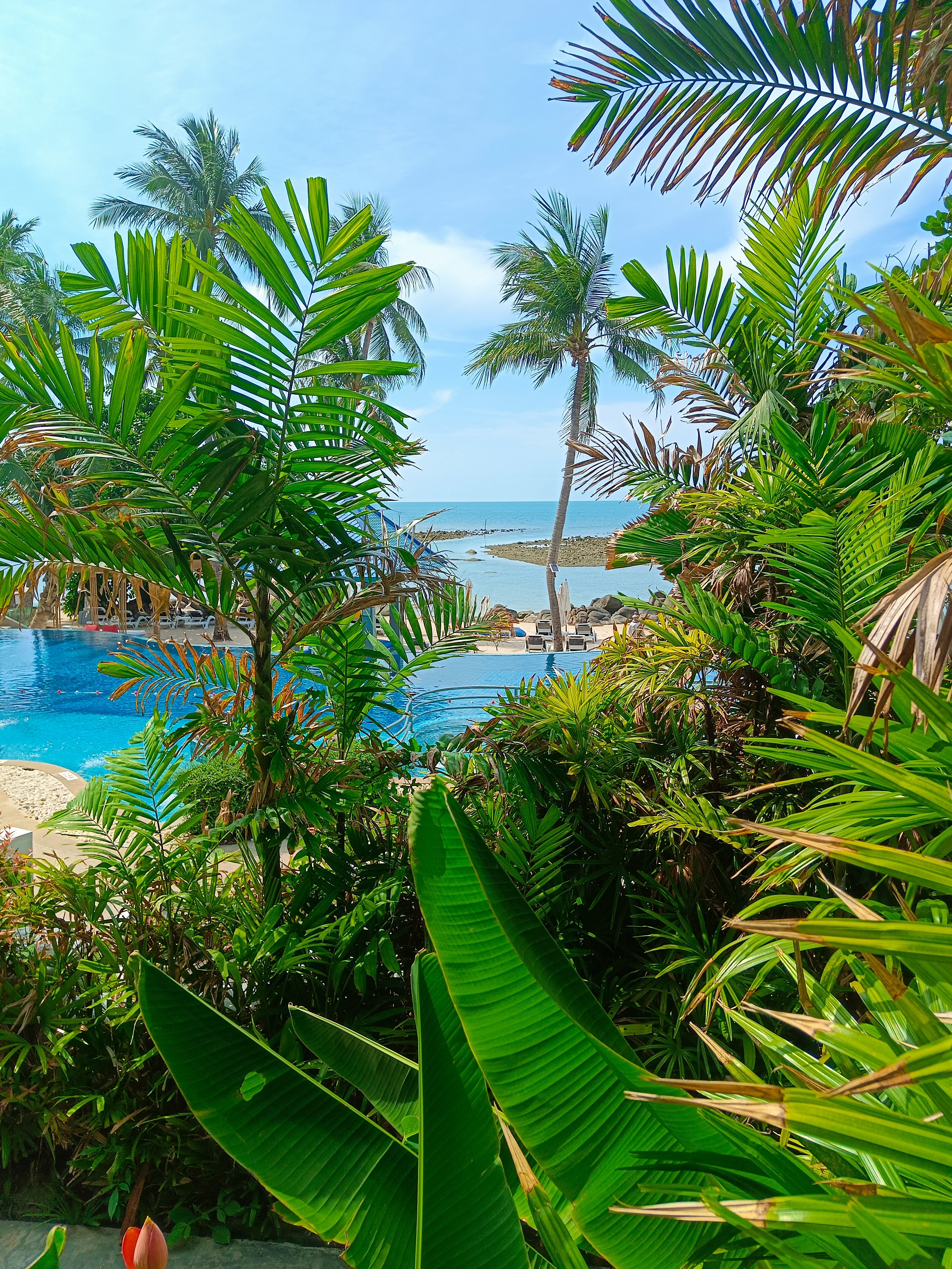 Фото Centara Villas Samui