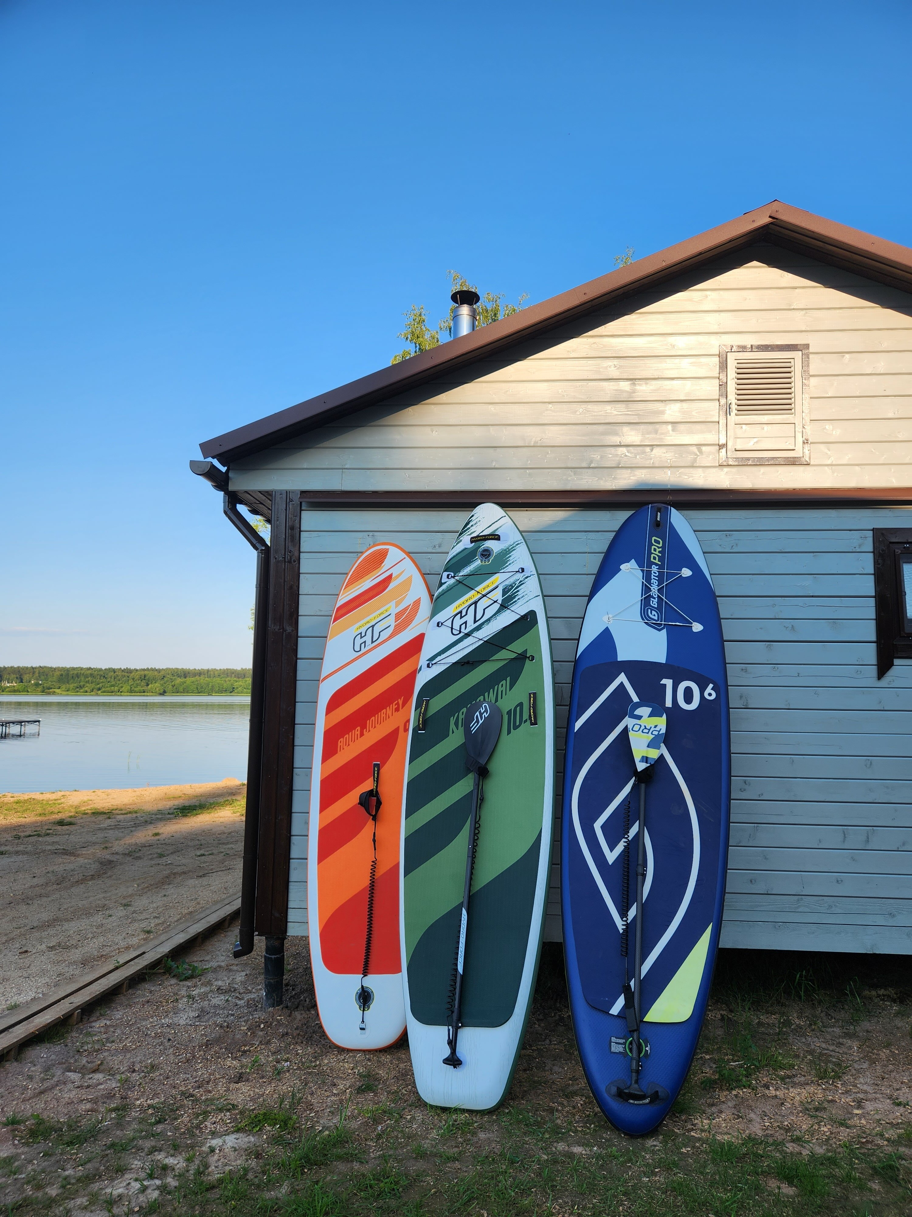 Фото Ёлки зелёные